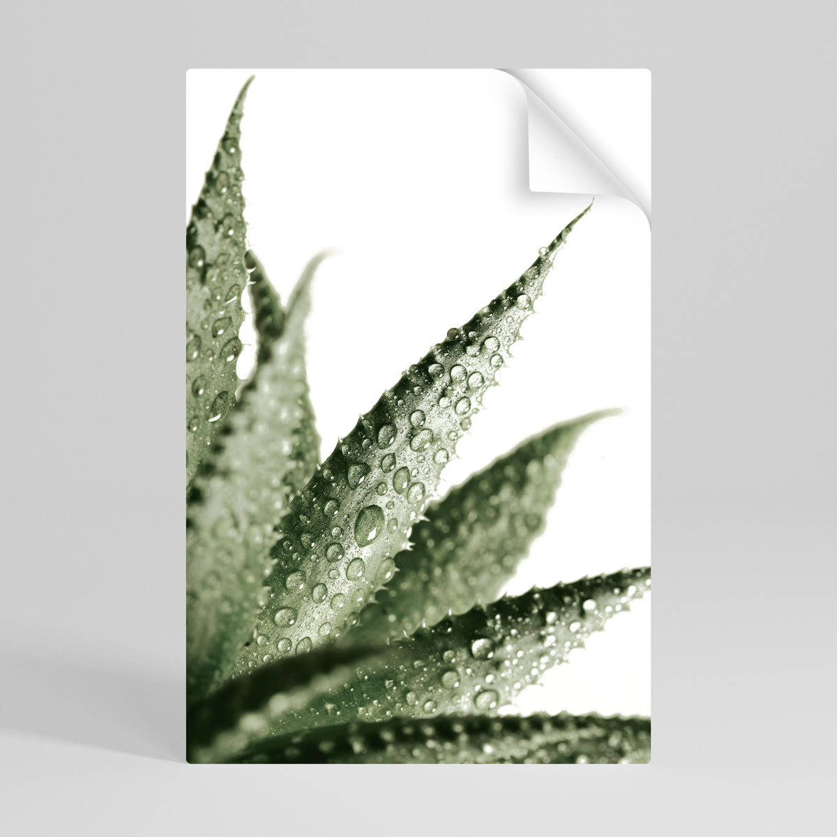 DEWDROP SYMPHONY Svislý samolepicí plakát