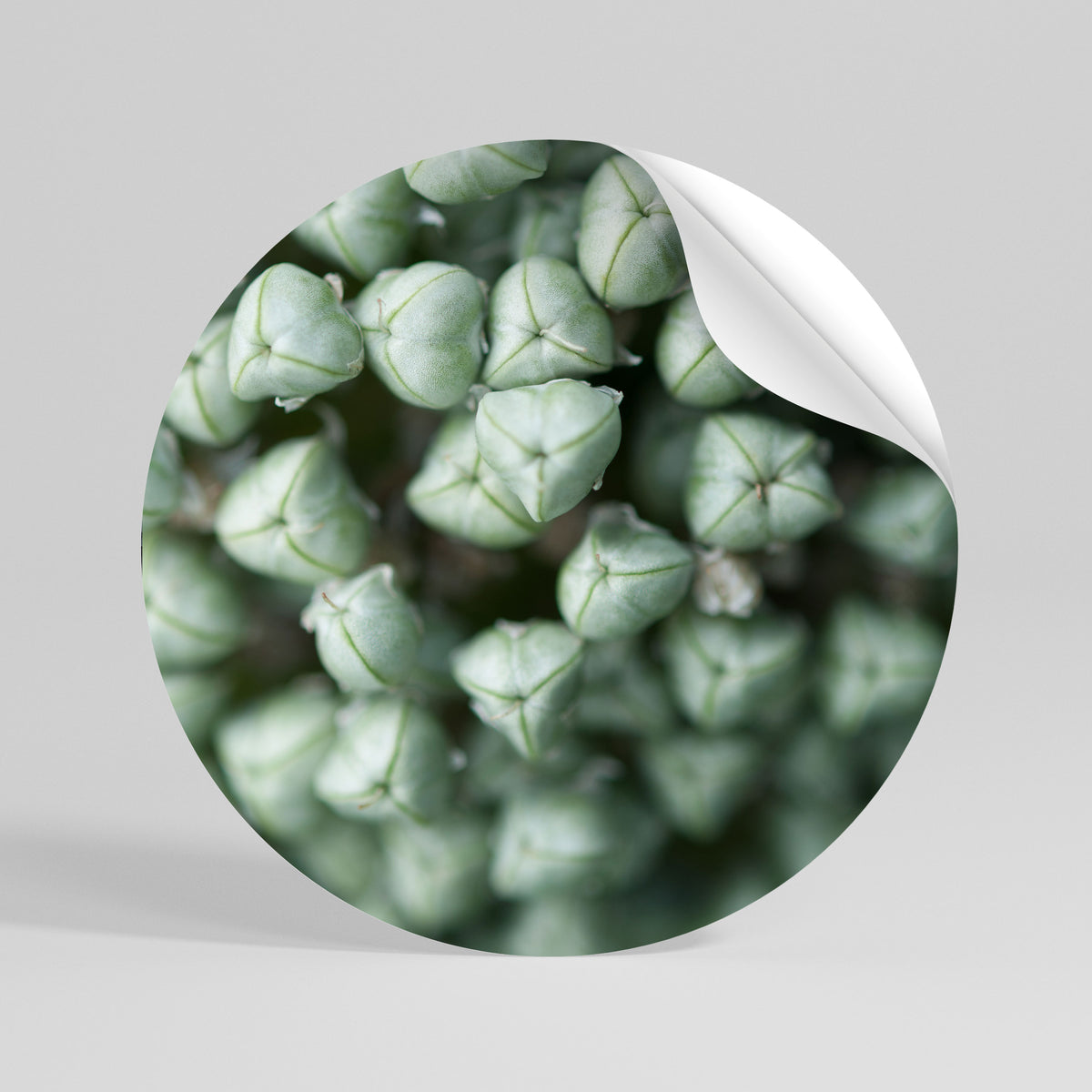 TEXTURED GREEN TIDBITS Kulatá samolepka