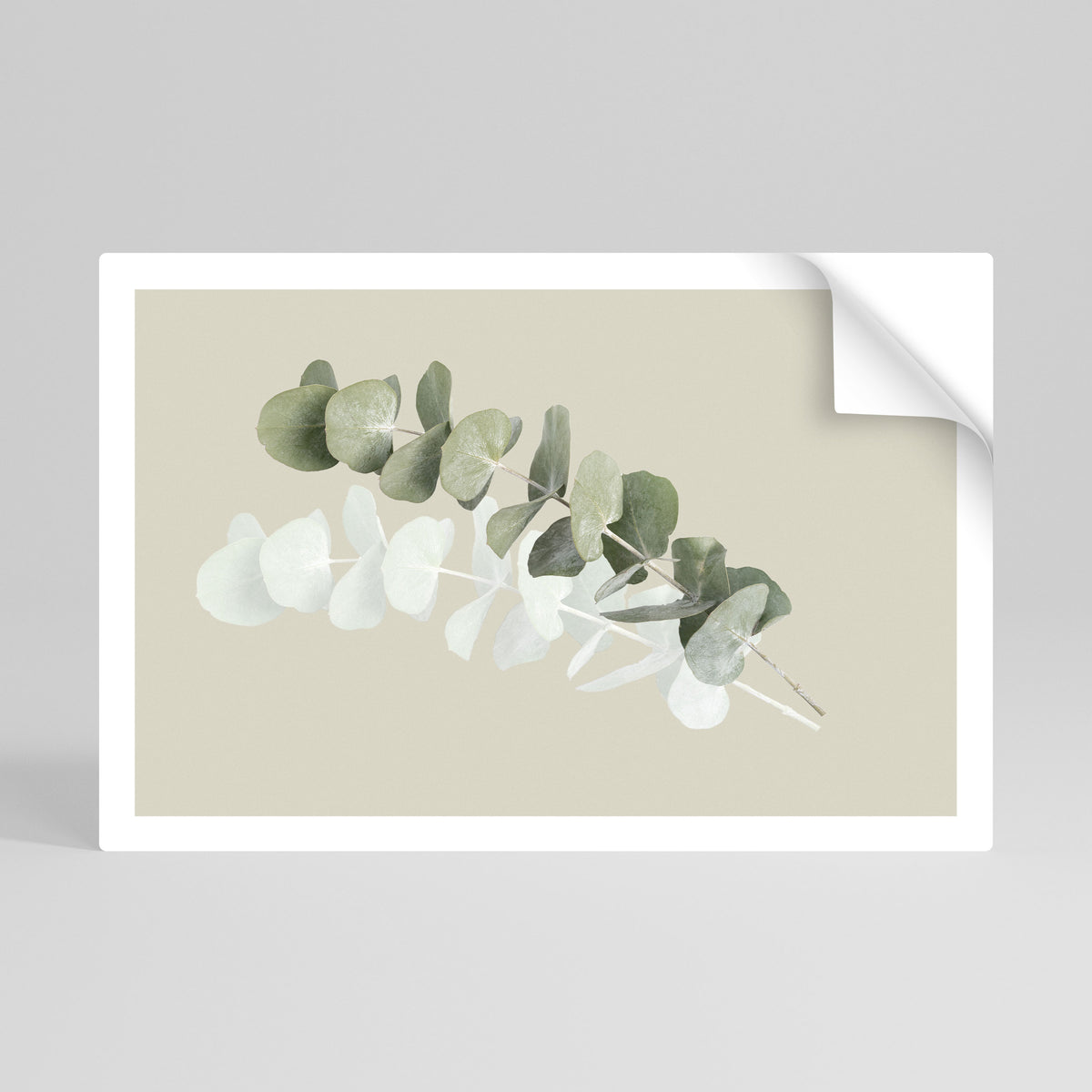 TRANSLUCENT NATURE Vodorovný samolepicí plakát