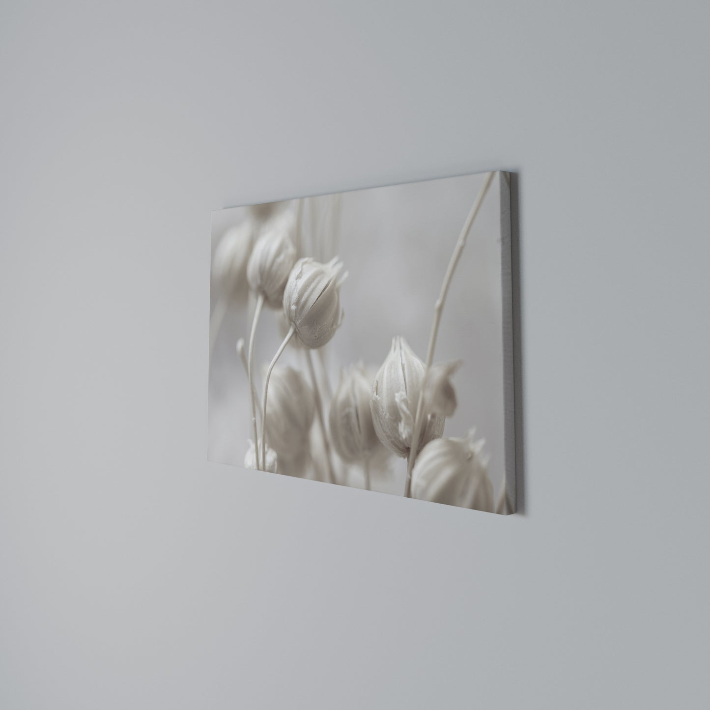 MYSTICAL BOTANICAL BLUSH Horizontal Canvas Print