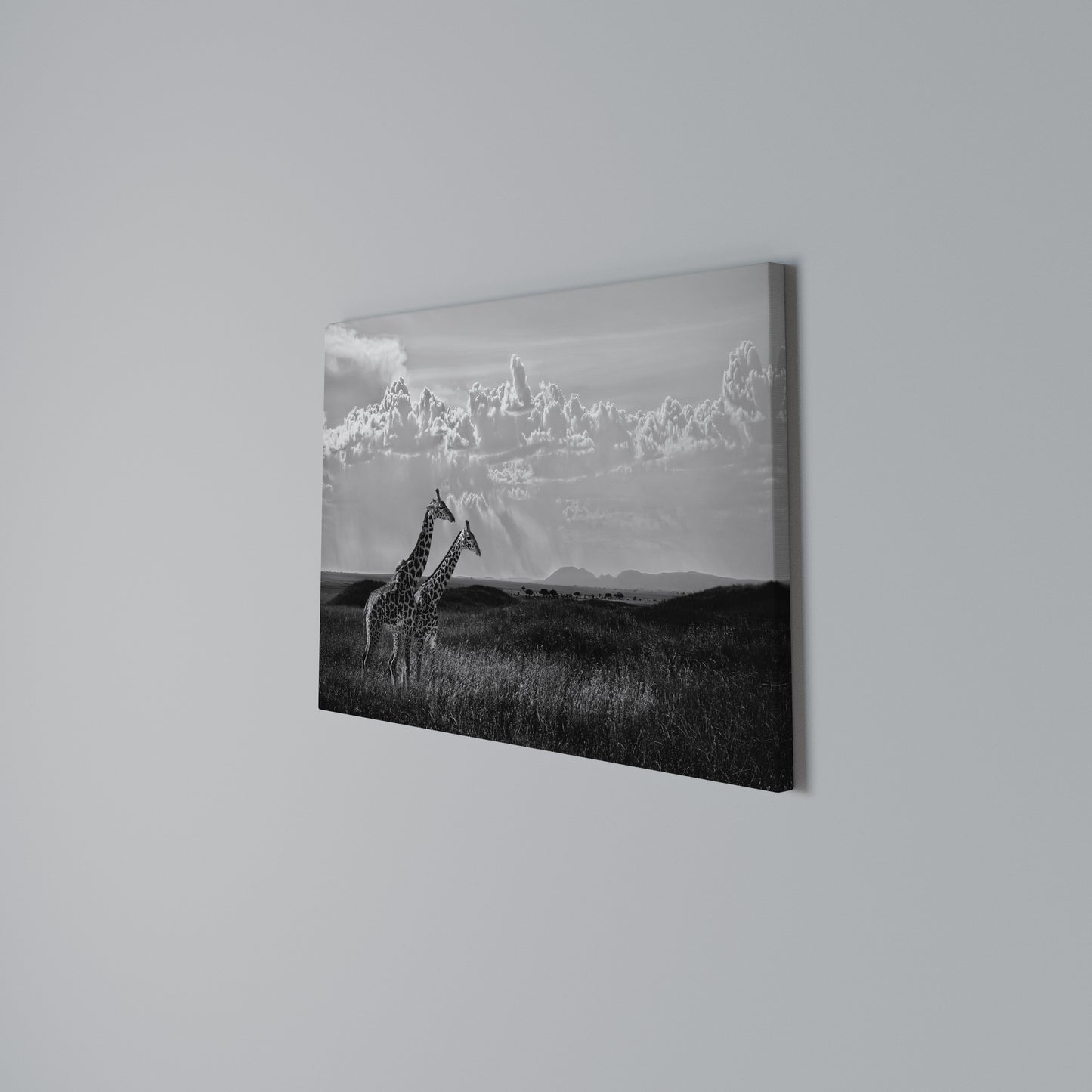 ELEGANT HEIGHTS UNVEILED Horizontal Canvas Print
