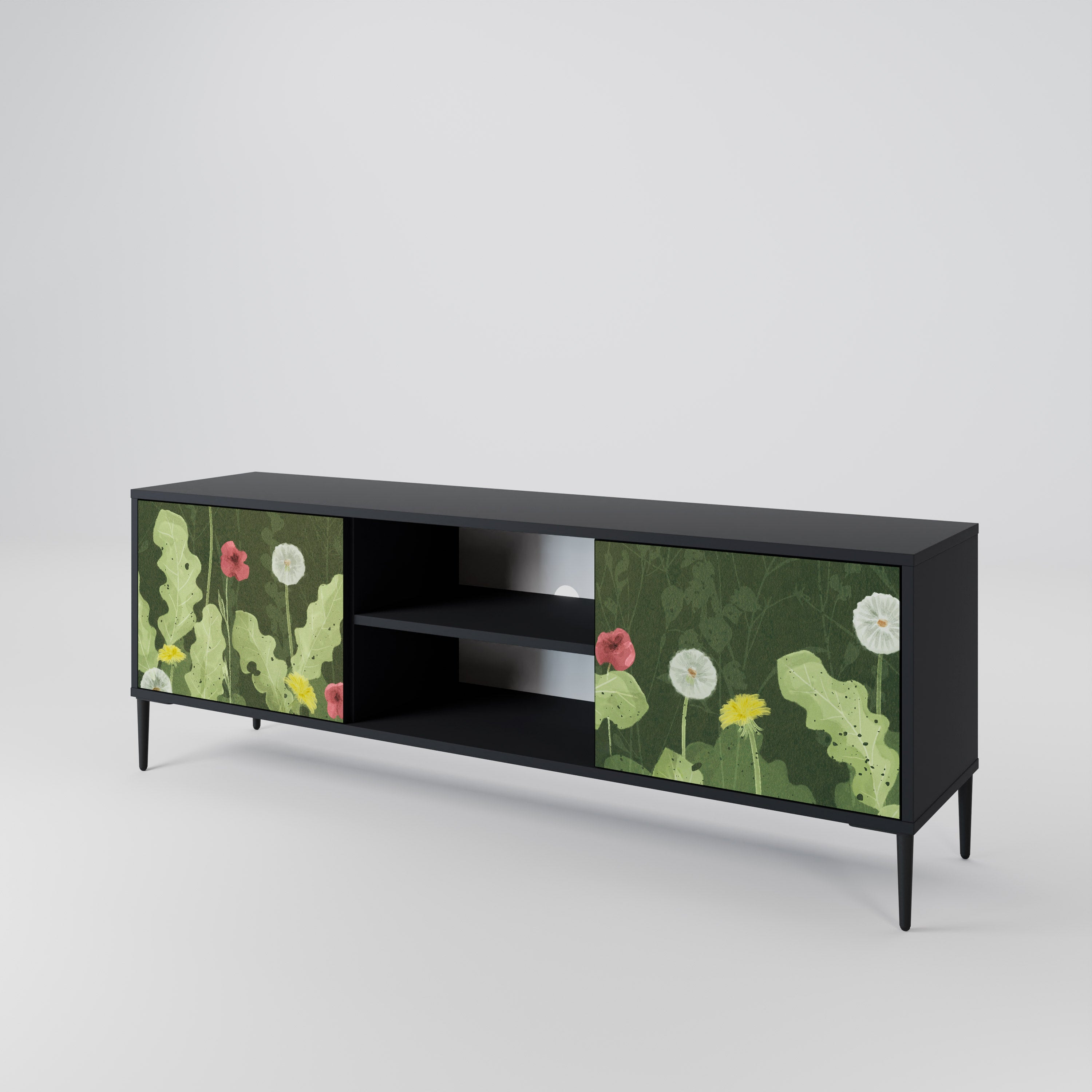DANDELION AMUSE 2-Door TV Cabinet