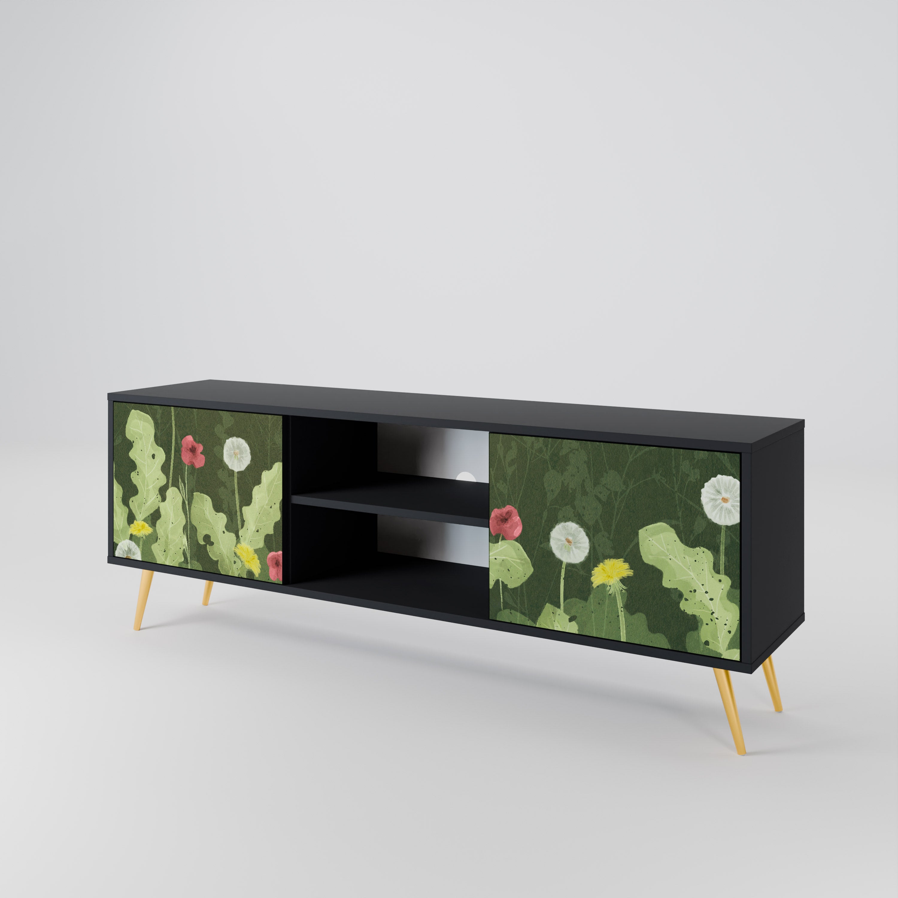 DANDELION AMUSE 2-Door TV Cabinet