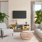 ABSTRACT FACES 2-Door TV Cabinet