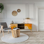 ORANGE ARRANGEMENT 2-Door TV Cabinet