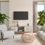 DAILY HARMONY 2-Door TV Cabinet