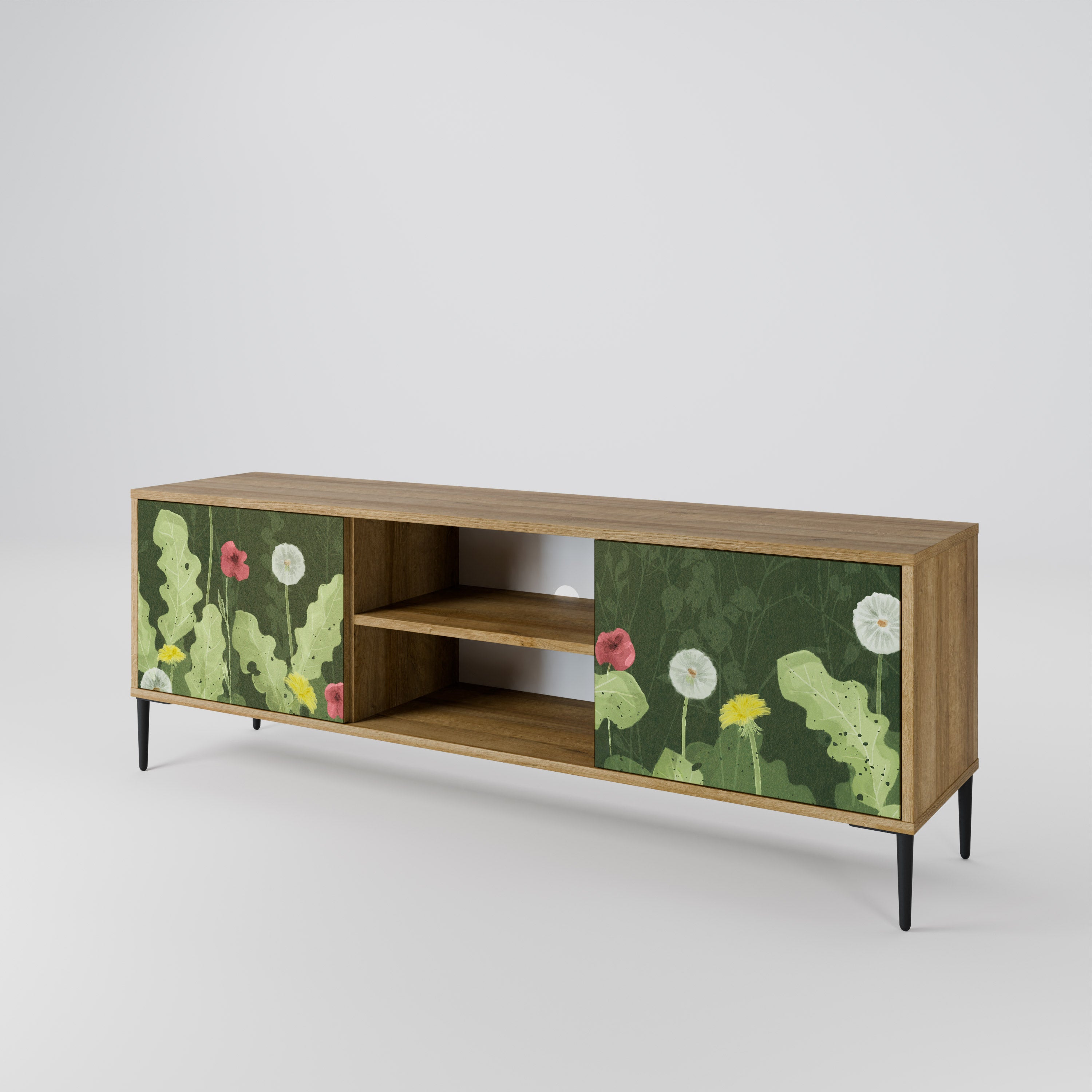 DANDELION AMUSE 2-Door TV Cabinet