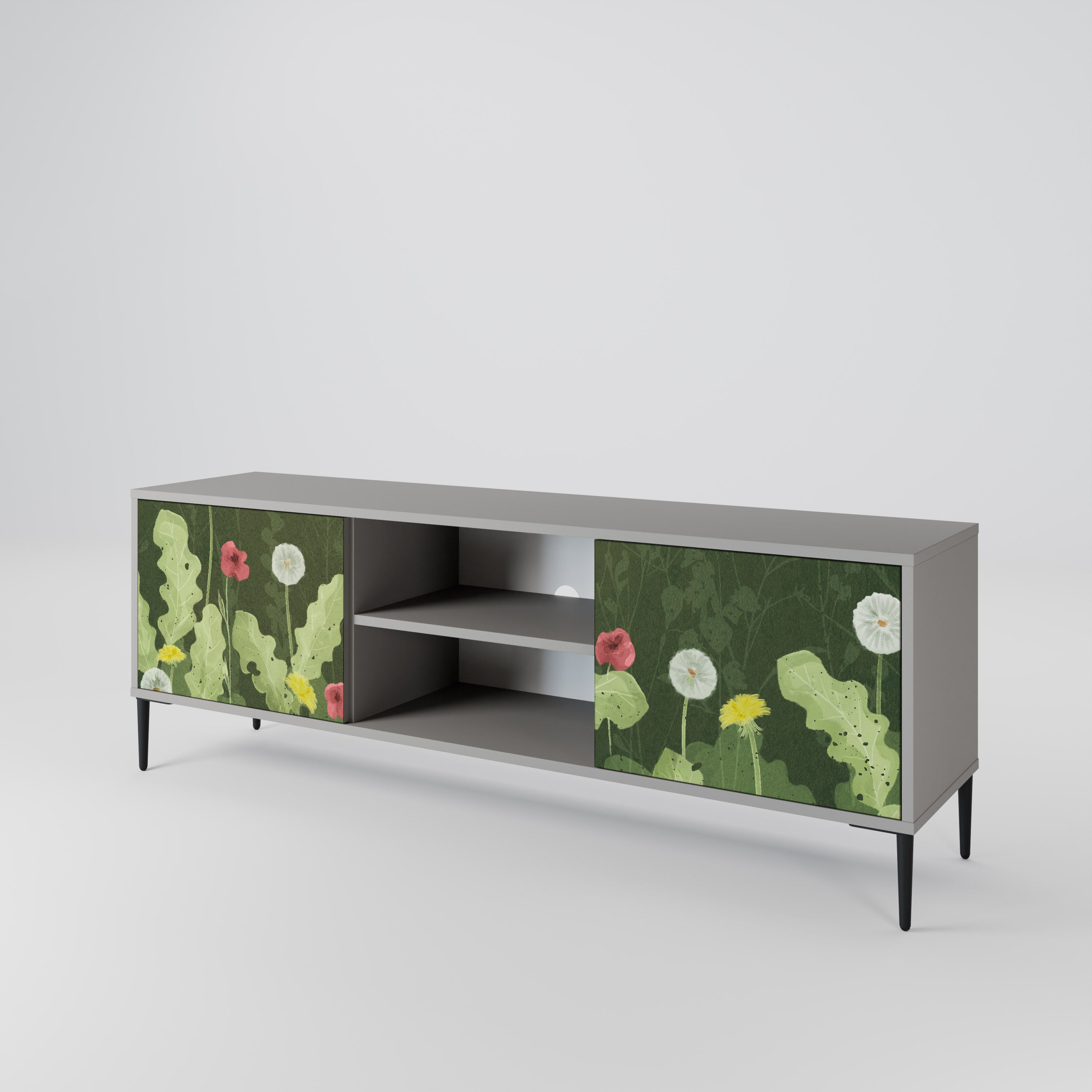 DANDELION AMUSE 2-Door TV Cabinet