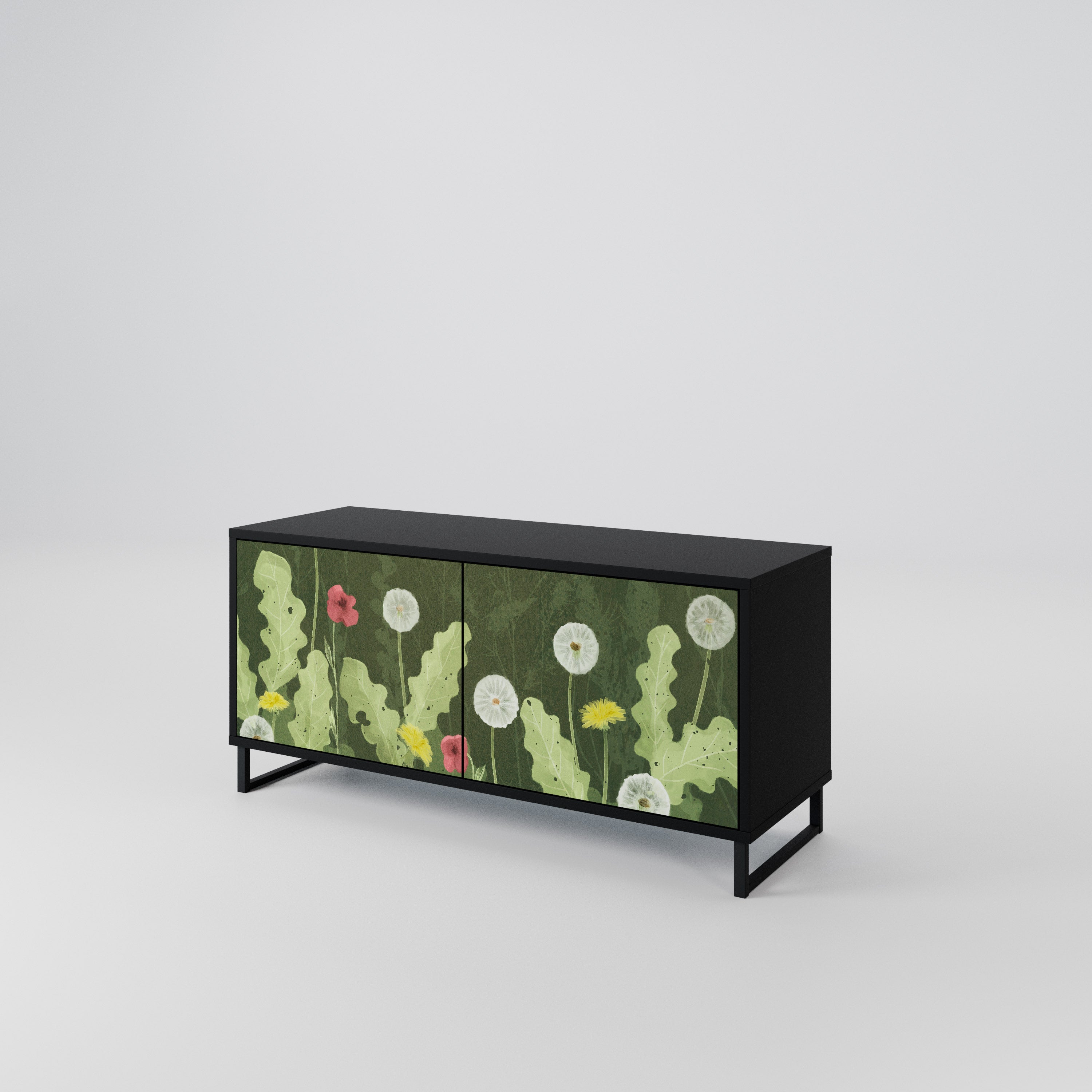 DANDELION AMUSE Compact 2-Door TV Cabinet