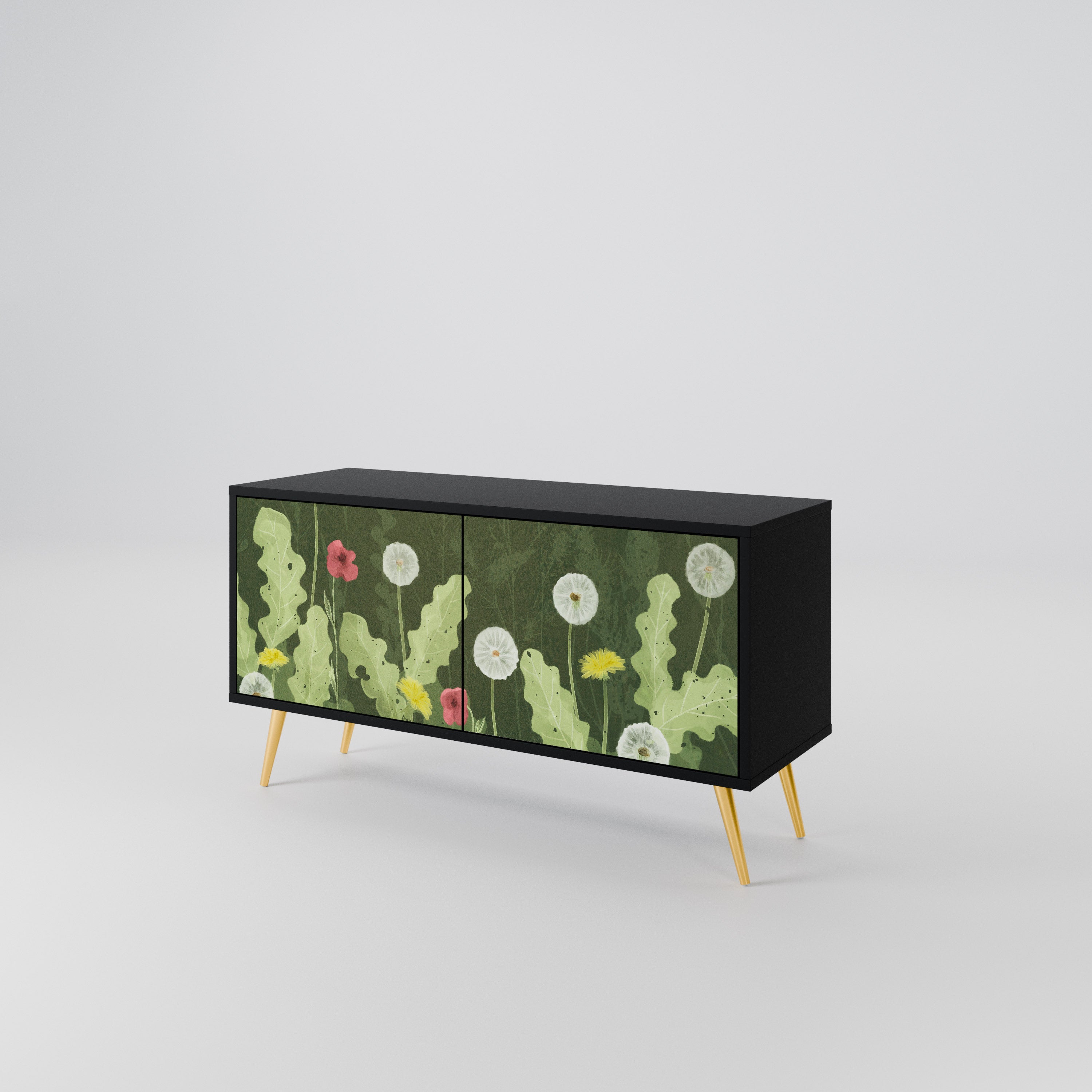 DANDELION AMUSE Compact 2-Door TV Cabinet