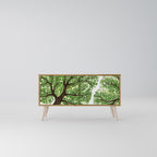 WILDERNESS DASH Kompaktní dvoudveřový TV stolek