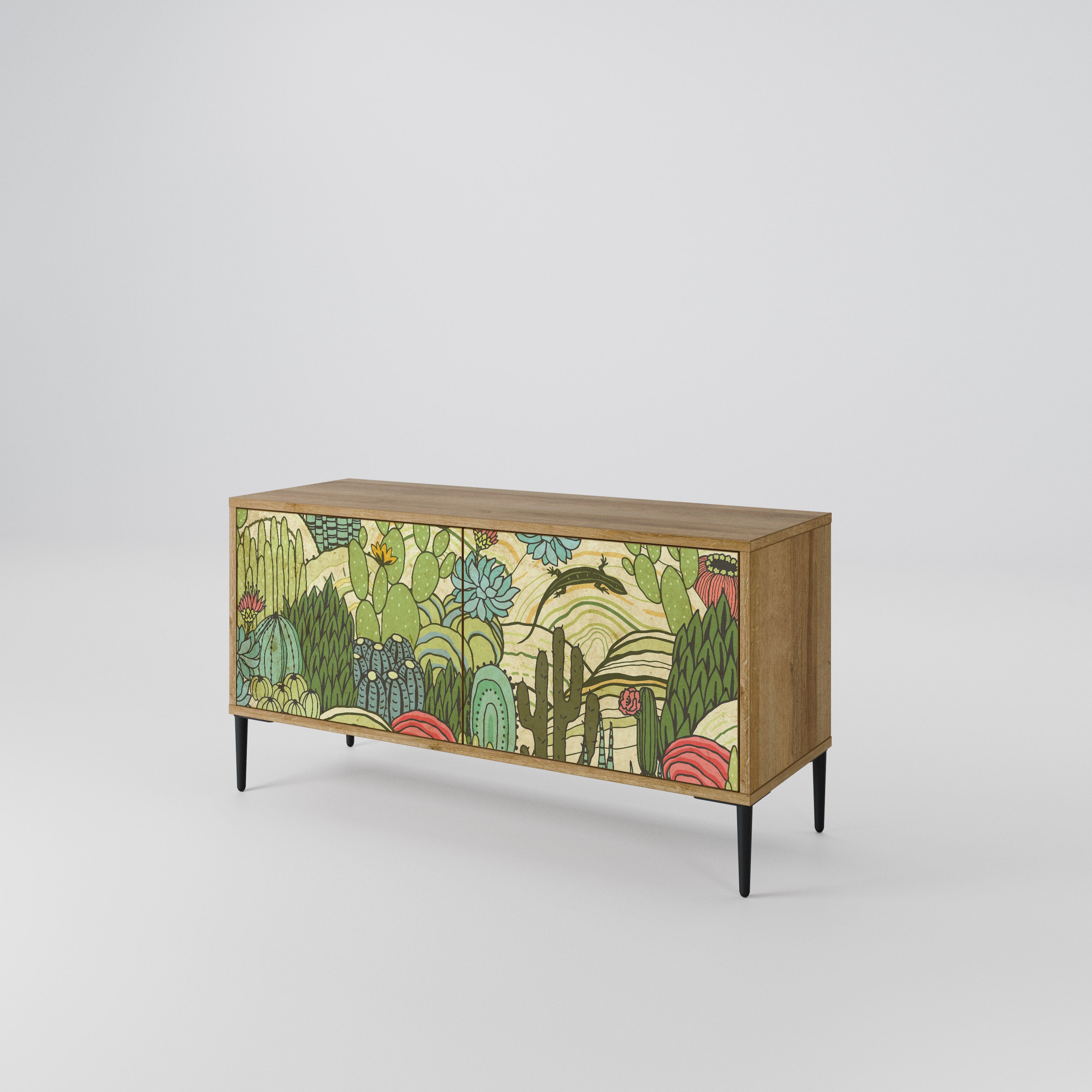 SUCCULENTS KALEIDOSCOPE Compact 2-Door TV Cabinet