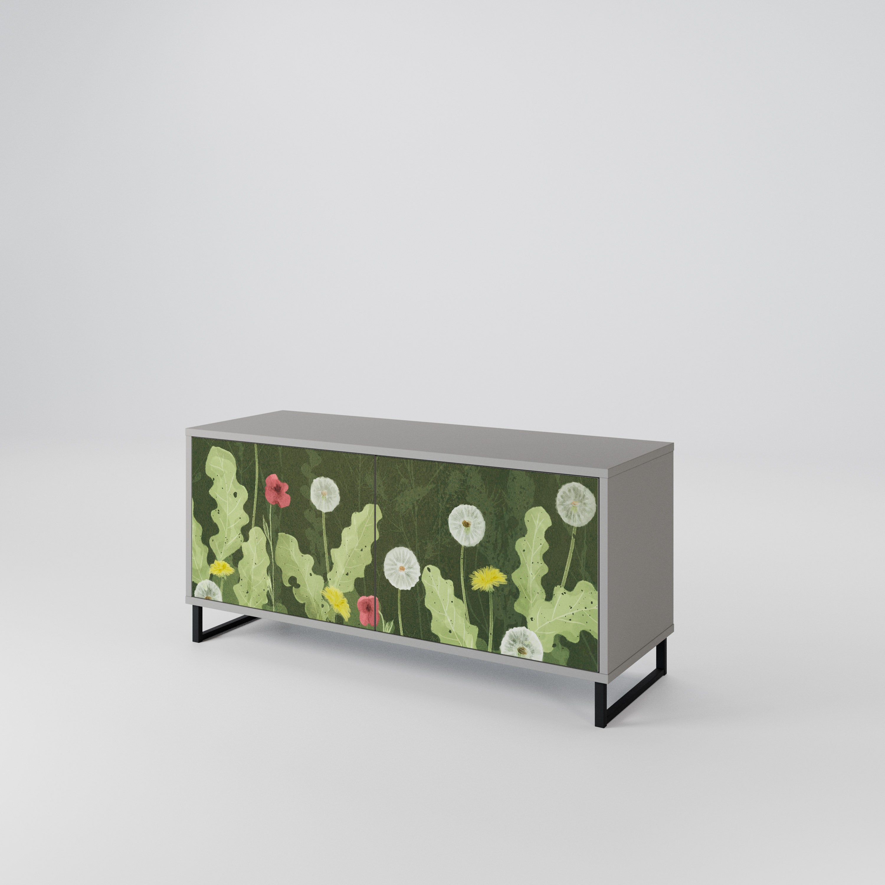 DANDELION AMUSE Compact 2-Door TV Cabinet