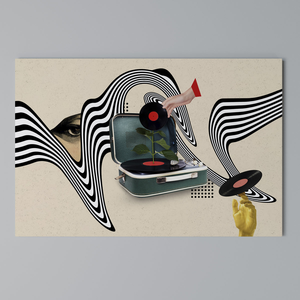 VINYL VARIATION Horizontal Canvas Print