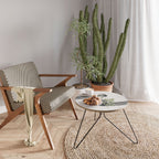 HERACLEUM ARRAY Coffee Table