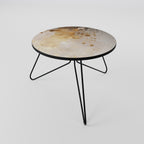 PRECIOUS CADENCE Coffee Table