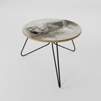 FROZEN IN TIME Coffee Table