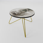 FROZEN IN TIME Coffee Table