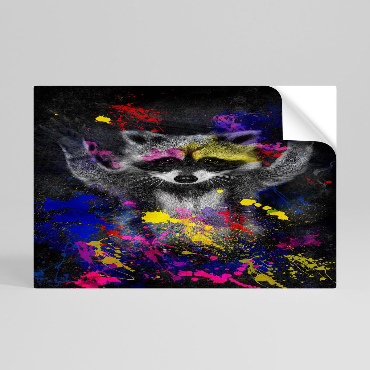 RACCOON ARTISTRY Vodorovný samolepicí plakát