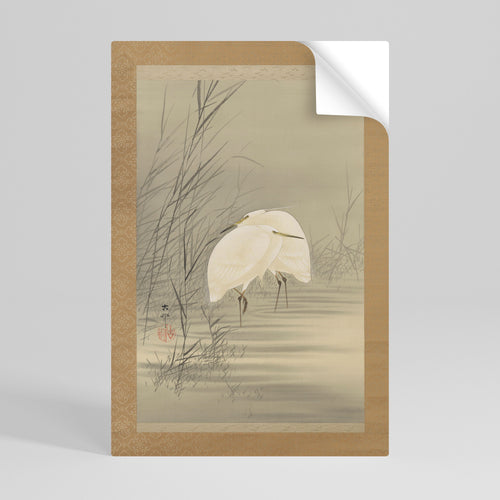 ZILVERREIGERS IN MOERAS Svislý samolepicí plakát