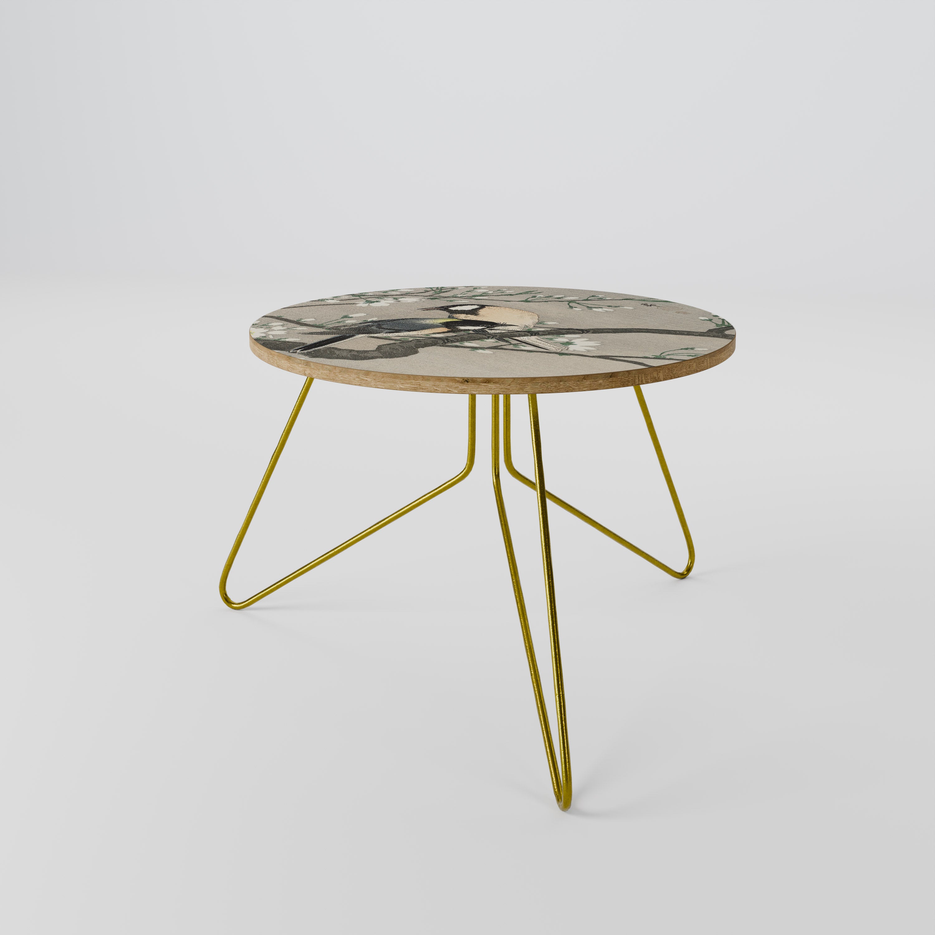 TITS ON CHERRY BRANCH Coffee Table