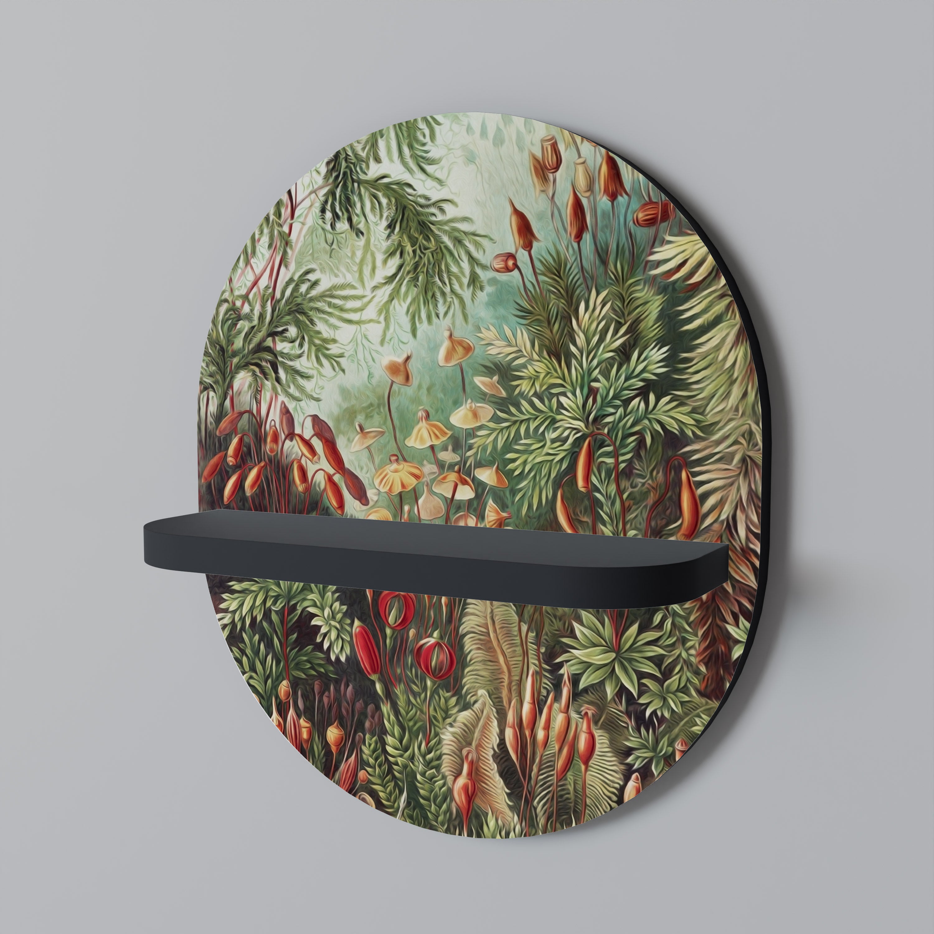 MUSCINAE LAUBMOOSE Designová police