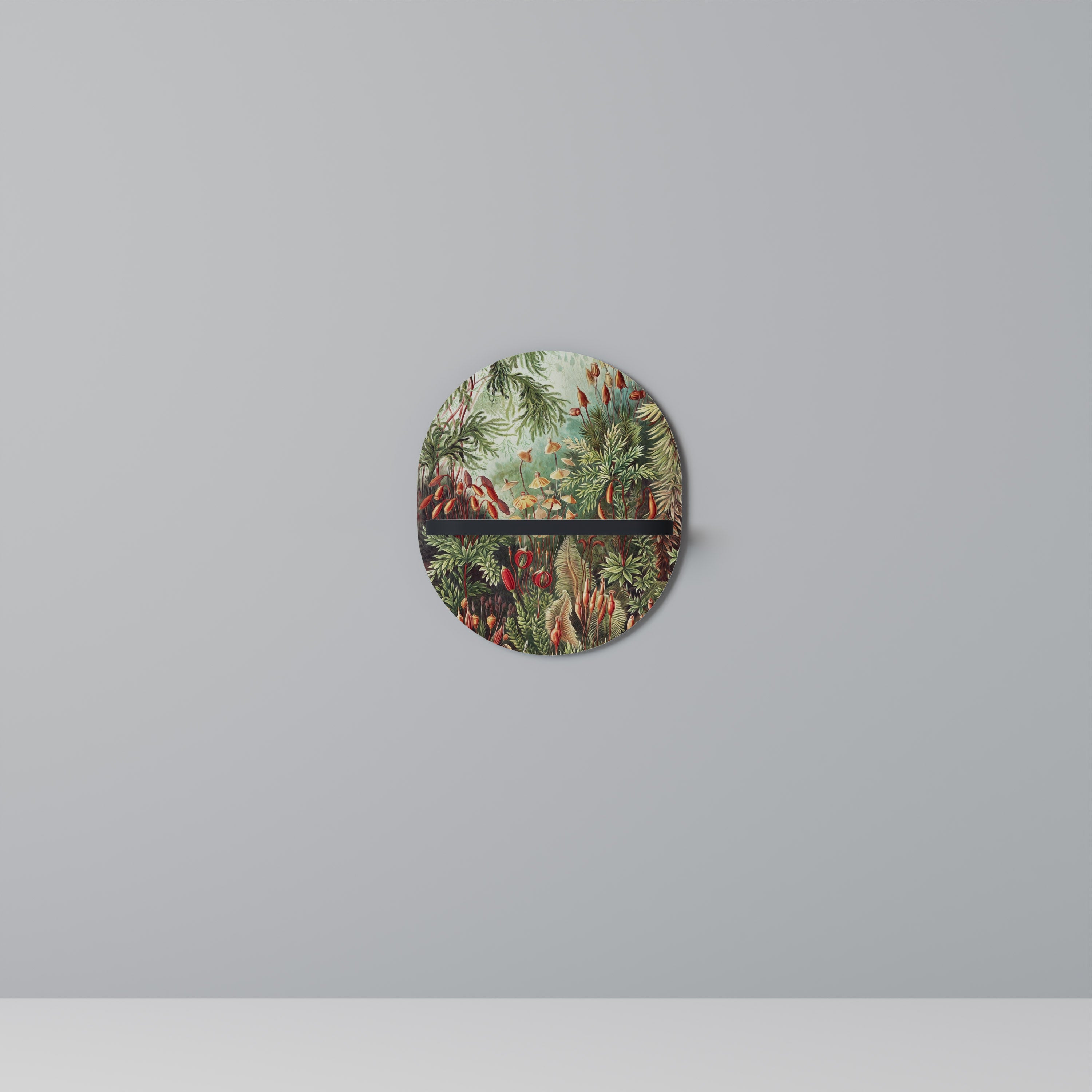 MUSCINAE LAUBMOOSE Designová police