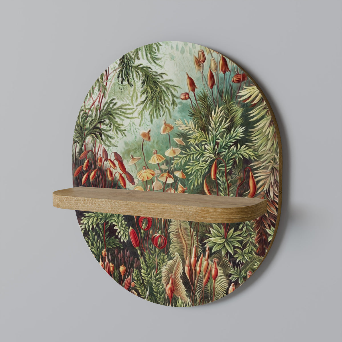 MUSCINAE LAUBMOOSE Designová police