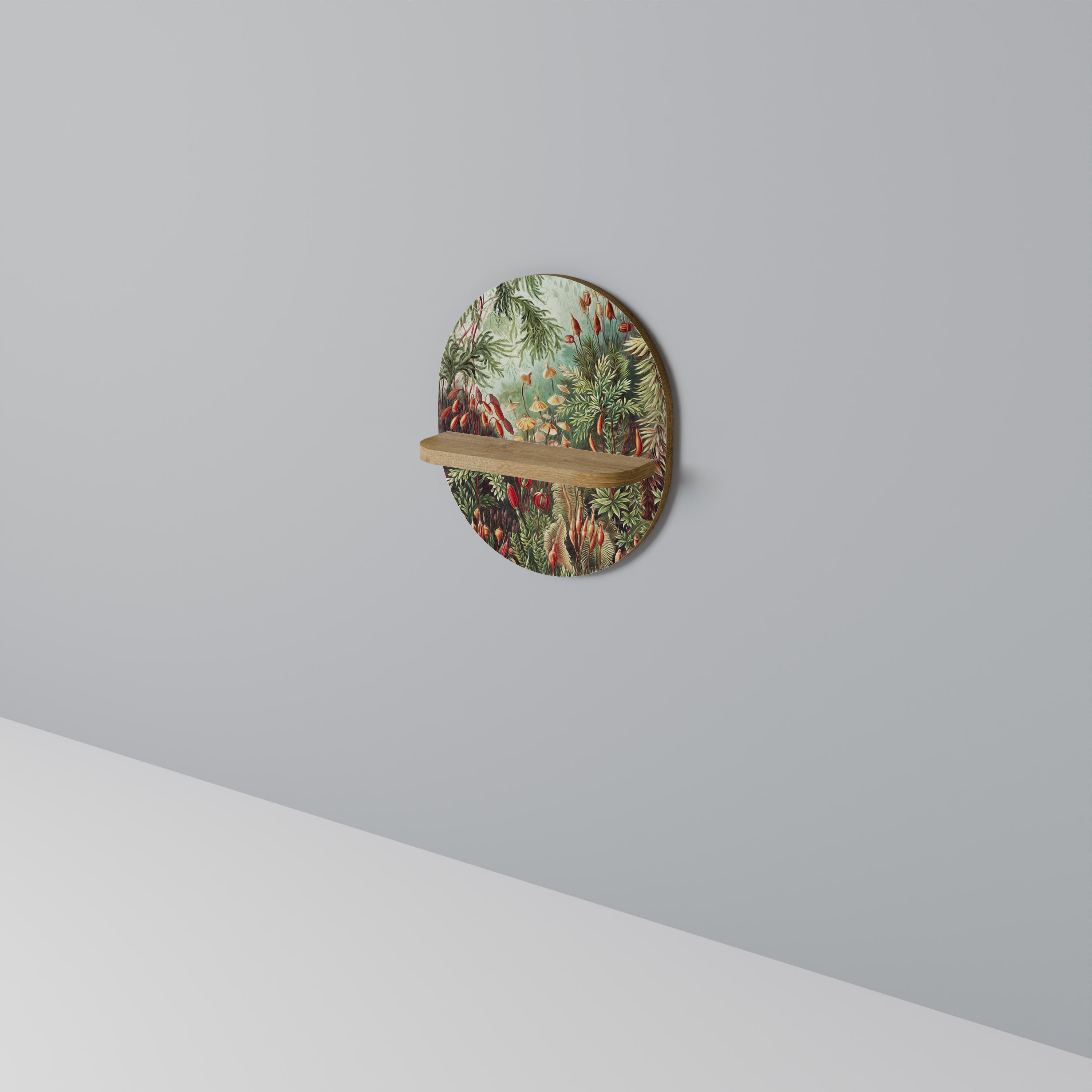 MUSCINAE LAUBMOOSE Art Shelf