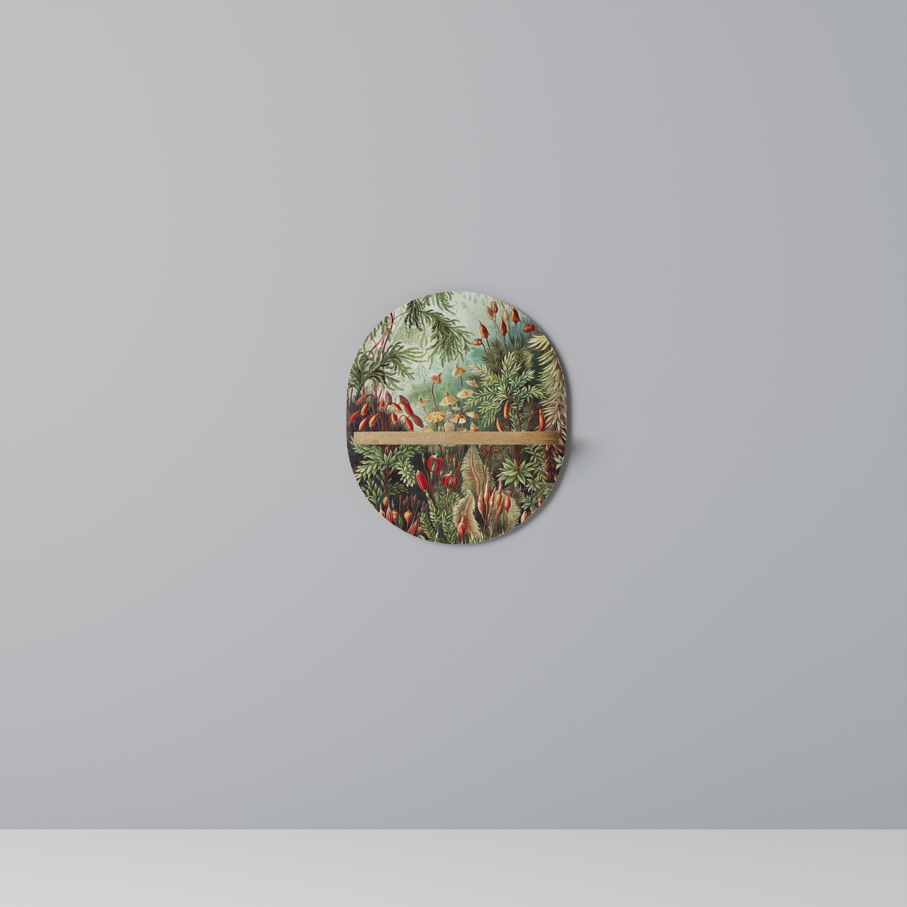 MUSCINAE LAUBMOOSE Designová police