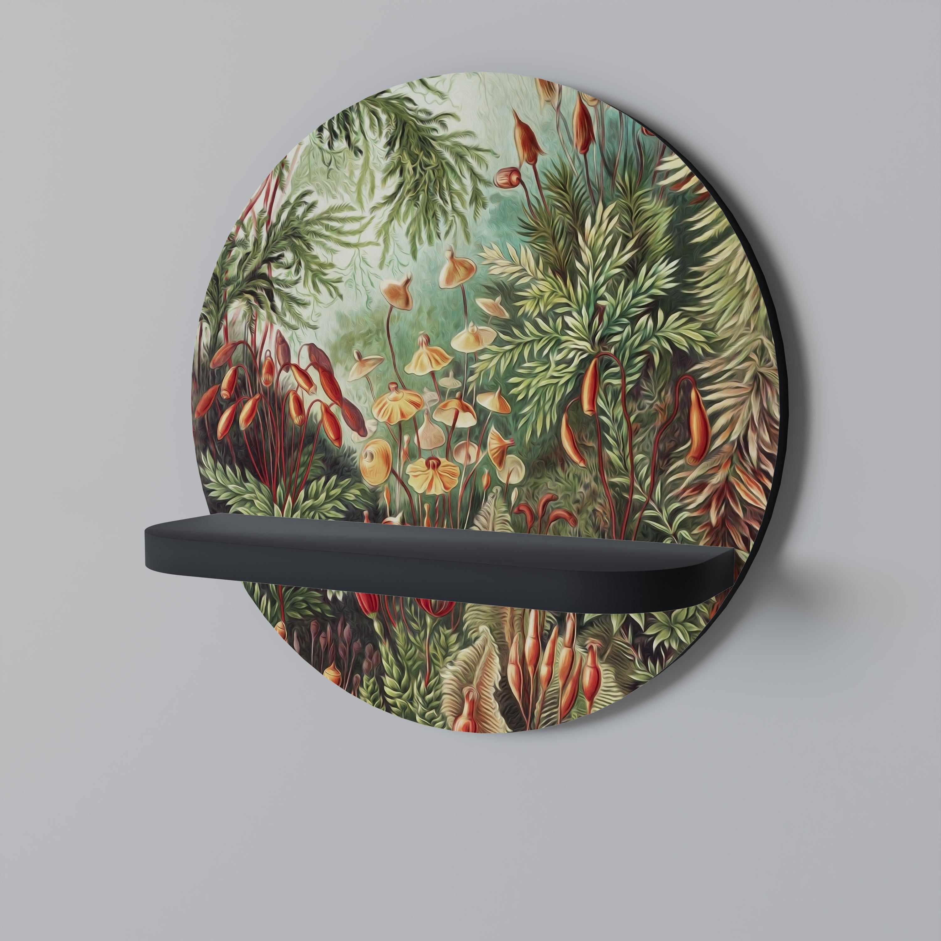 MUSCINAE LAUBMOOSE Designová police