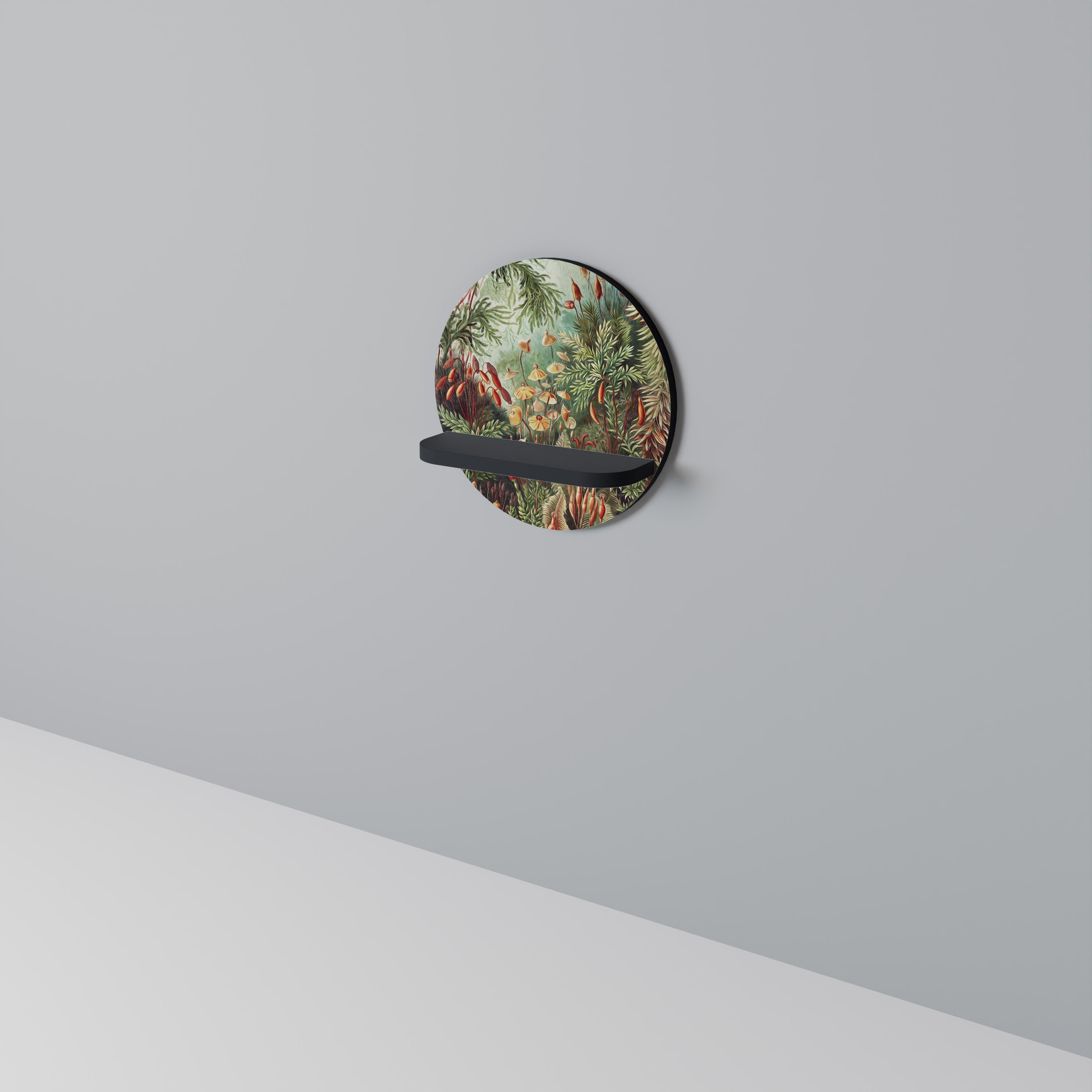 MUSCINAE LAUBMOOSE Designová police