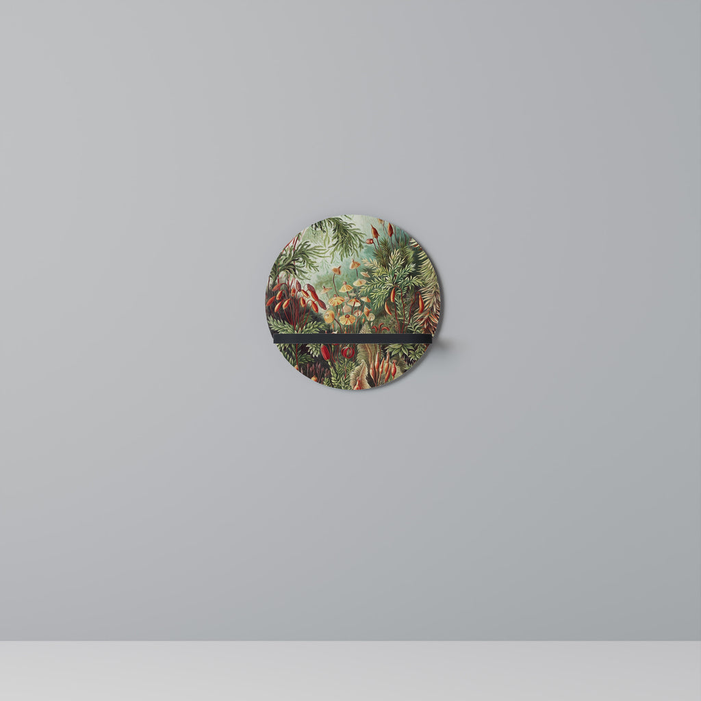 MUSCINAE LAUBMOOSE Designová police