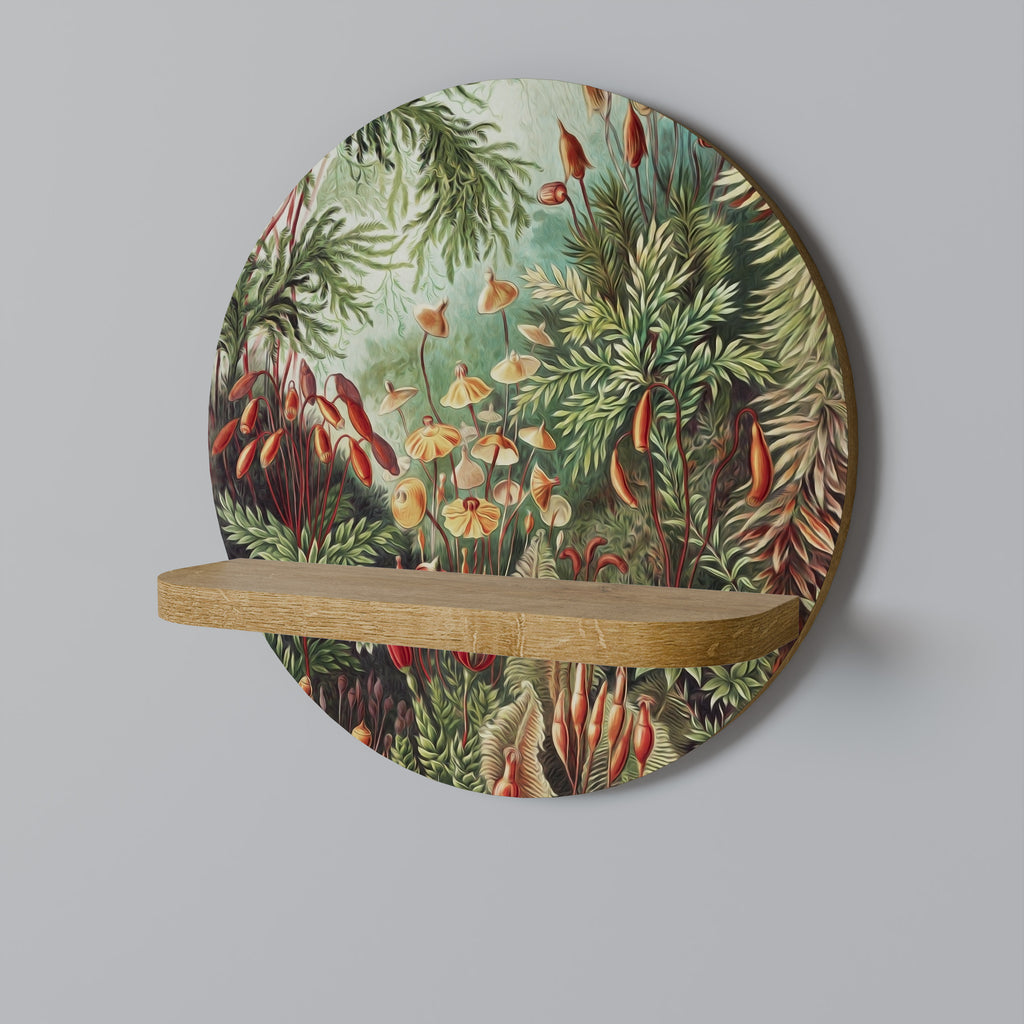 MUSCINAE LAUBMOOSE Designová police