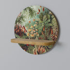 MUSCINAE LAUBMOOSE Designová police