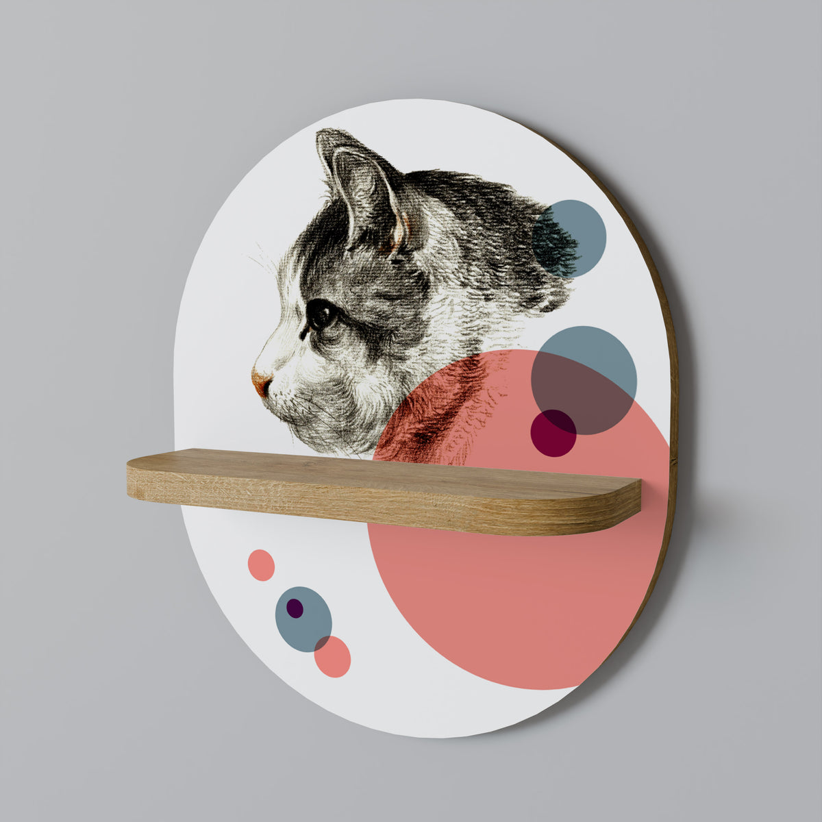 BUBBLE CAT SKETCH Designová police