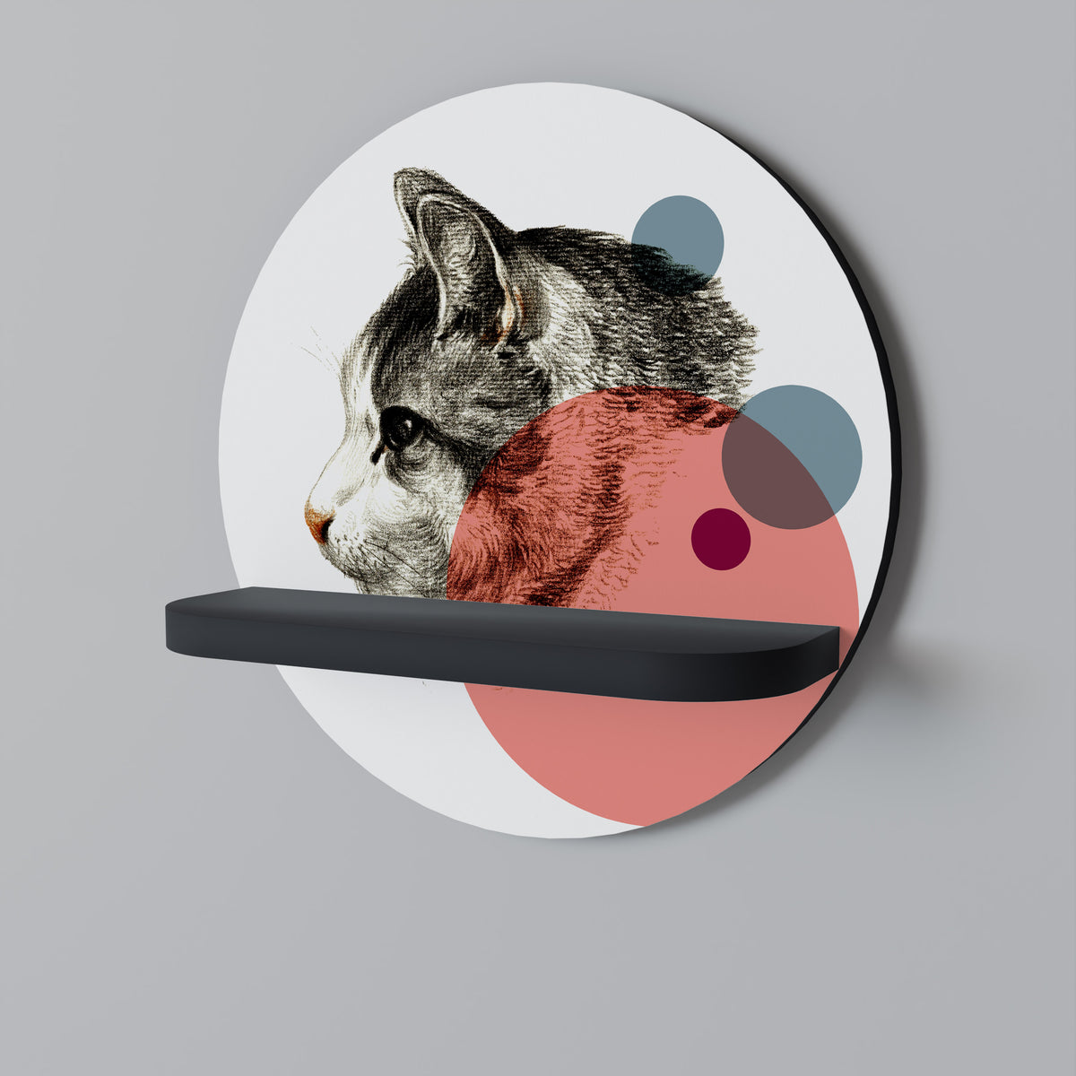 BUBBLE CAT SKETCH Designová police