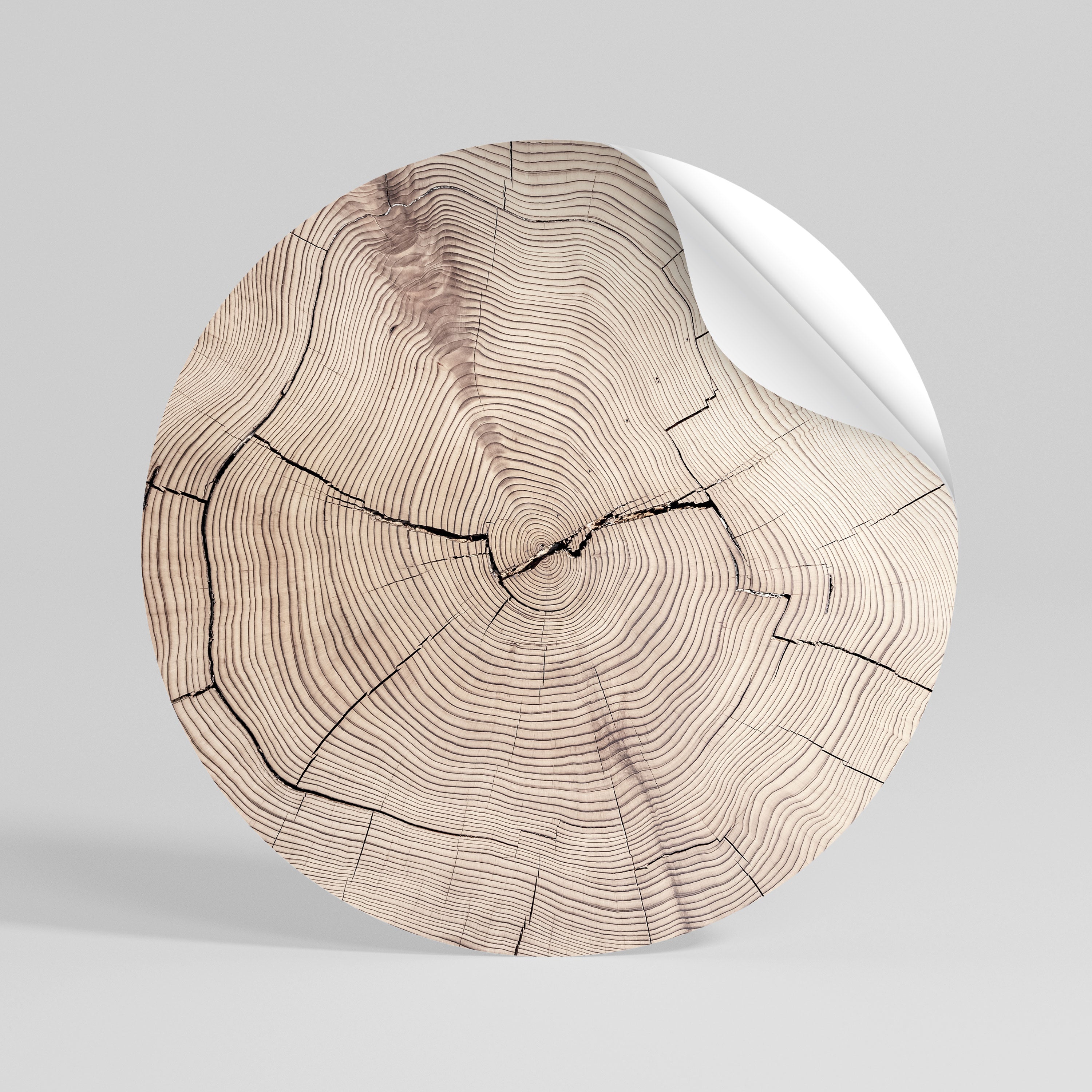 TIMEWORN RHYTHM Kulatá samolepka