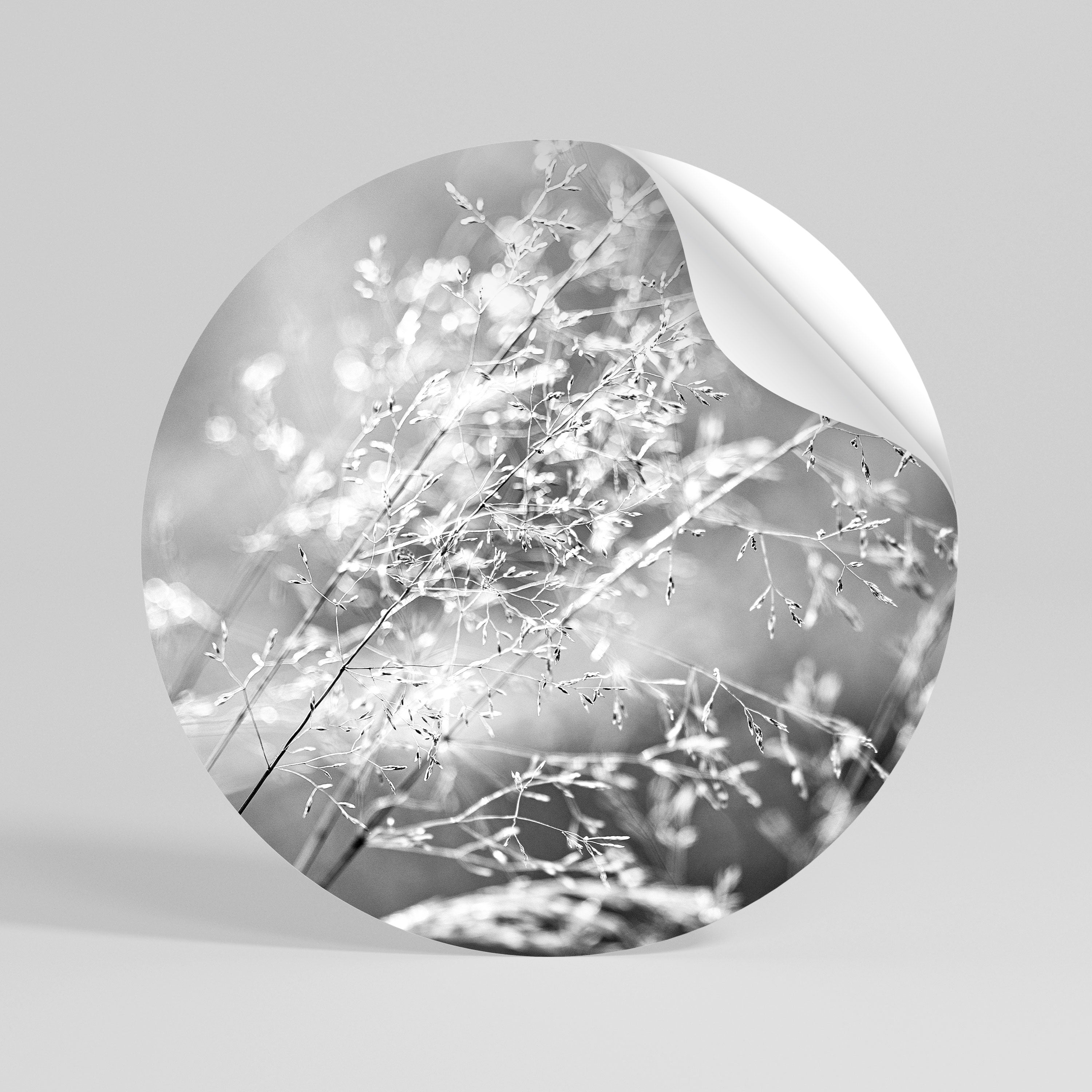 LIGHTSWEPT HARMONY Kulatá samolepka