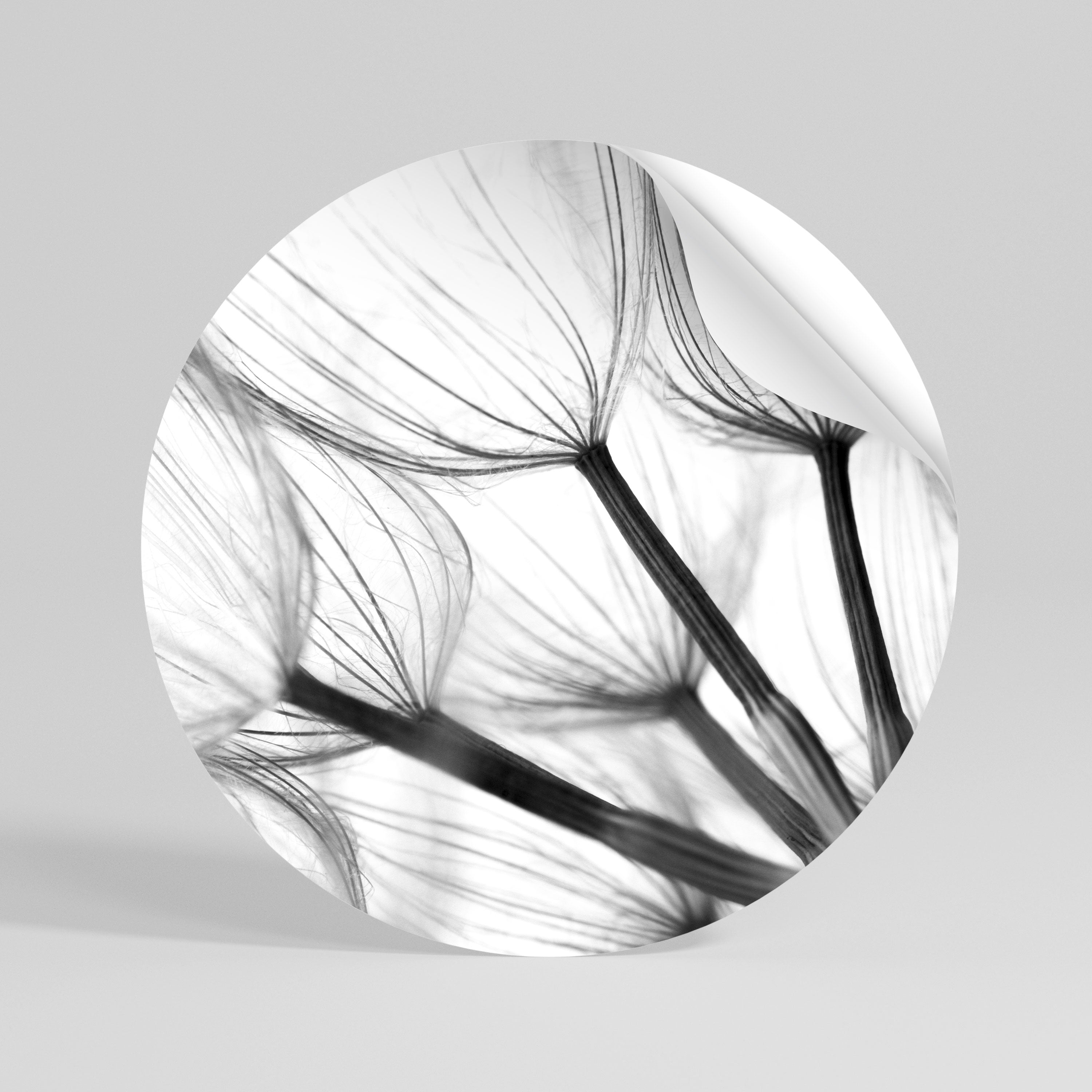 SILKEN FLIGHT Kulatá samolepka