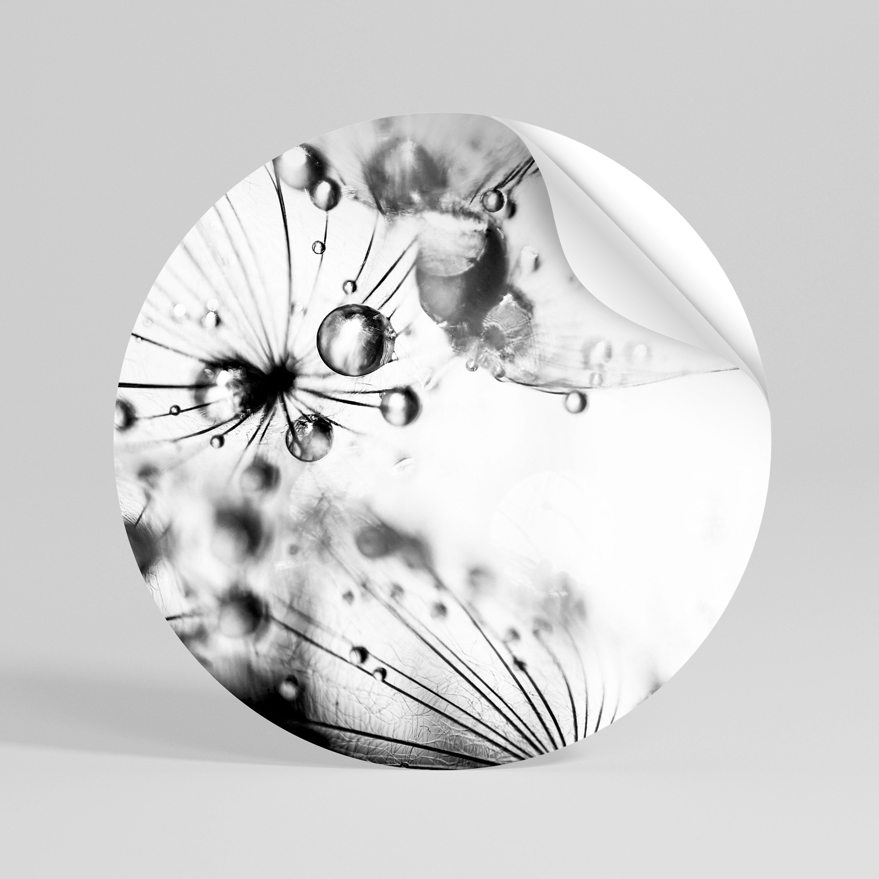 ELEGANT DROPLETS Kulatá samolepka