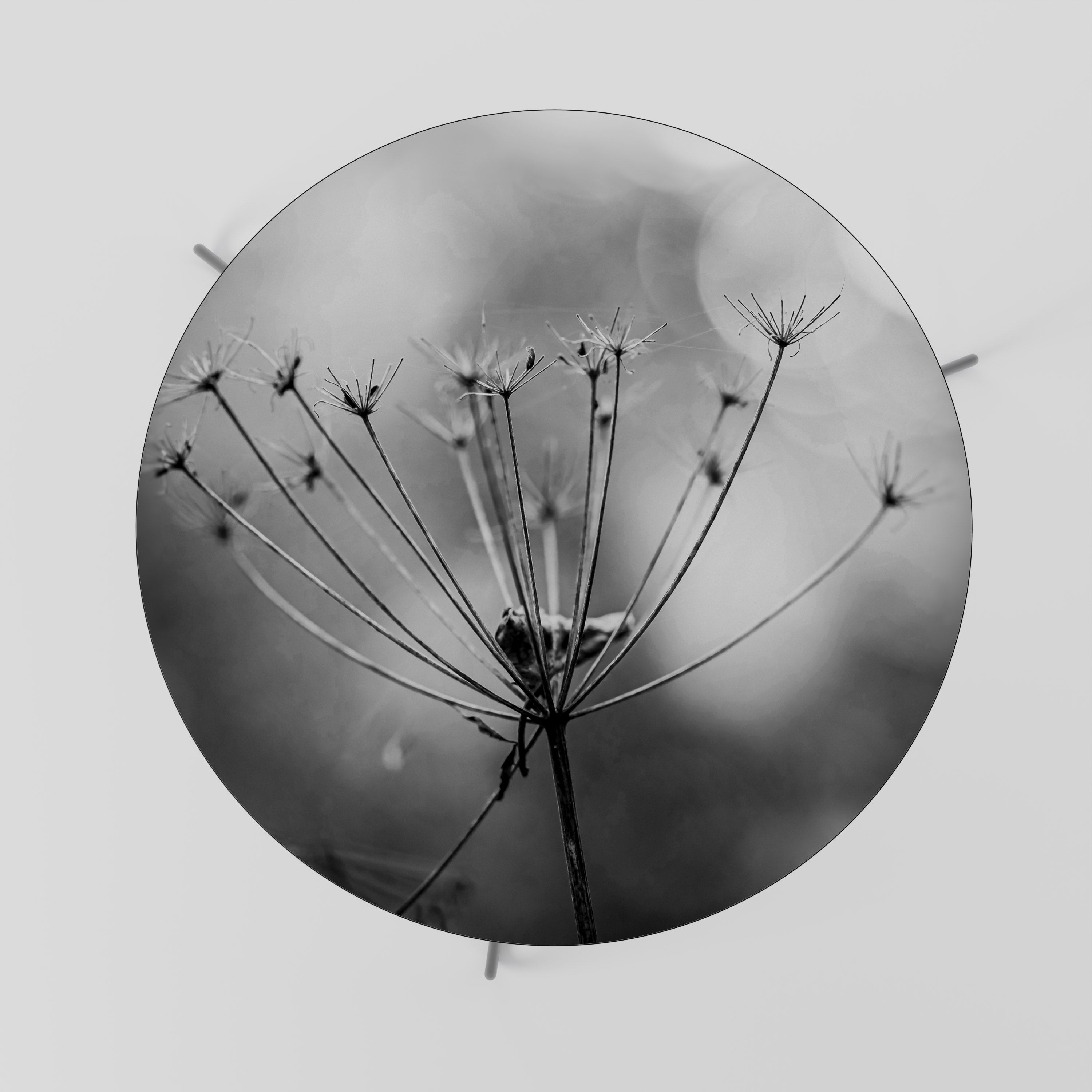 MINIMALIST BLOOM Coffee Table