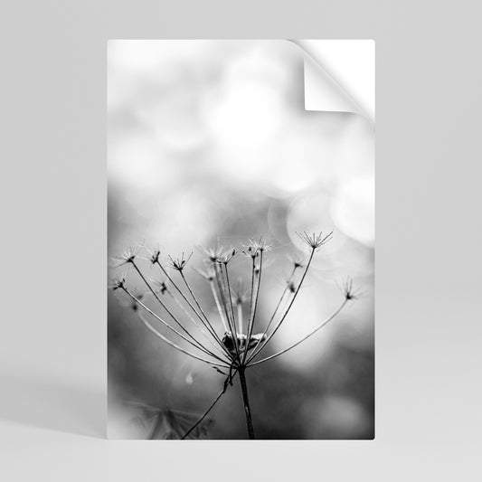 MINIMALIST BLOOM Svislý samolepicí plakát