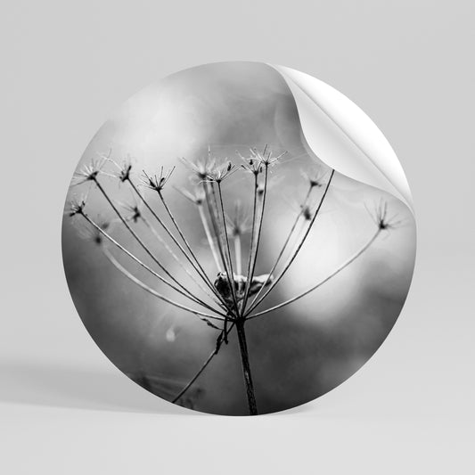 MINIMALIST BLOOM Kulatá samolepka