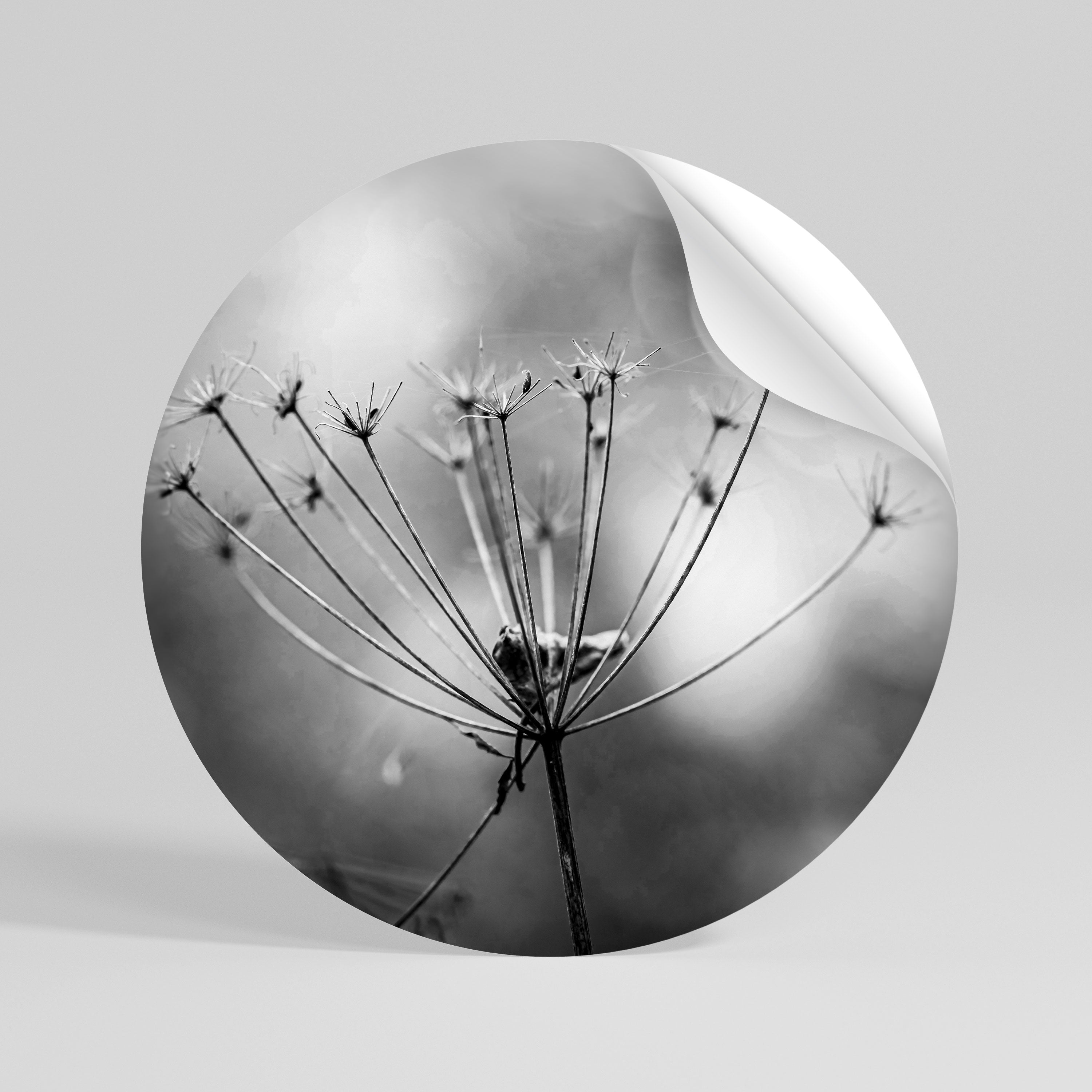 MINIMALIST BLOOM Kulatá samolepka