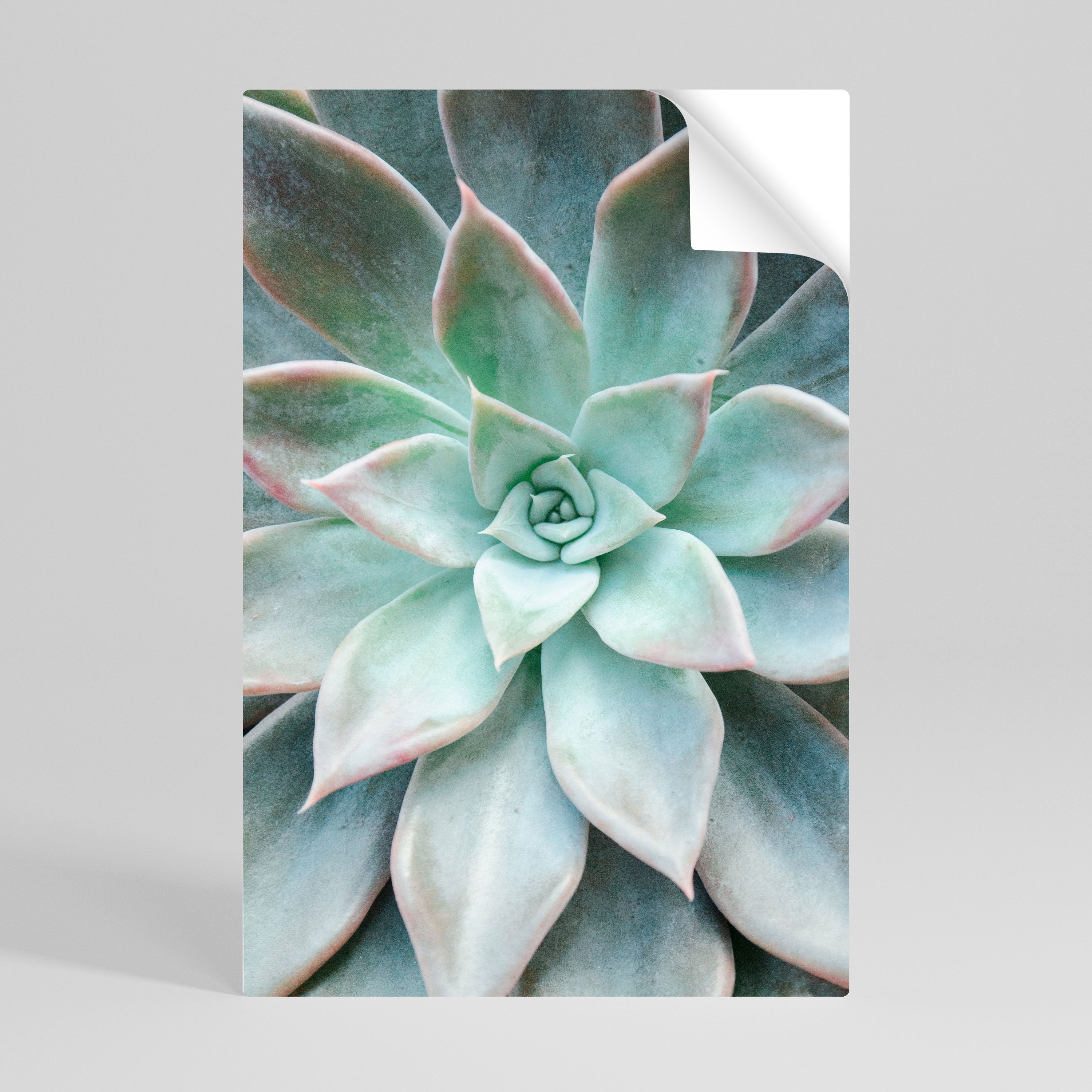 GEOMETRIC GARDEN MAGIC Peel and Stick Vertical Poster