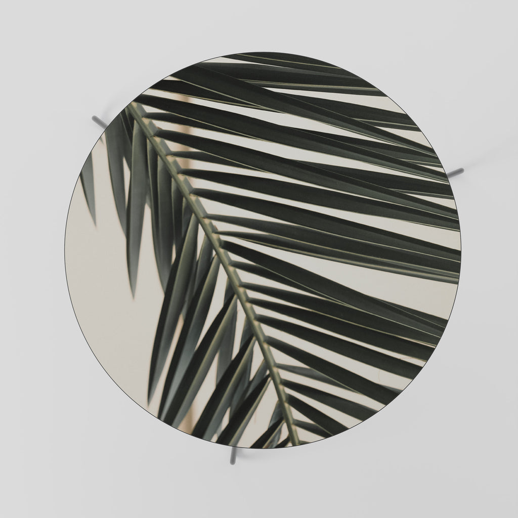 PALM SYMPHONY Coffee Table