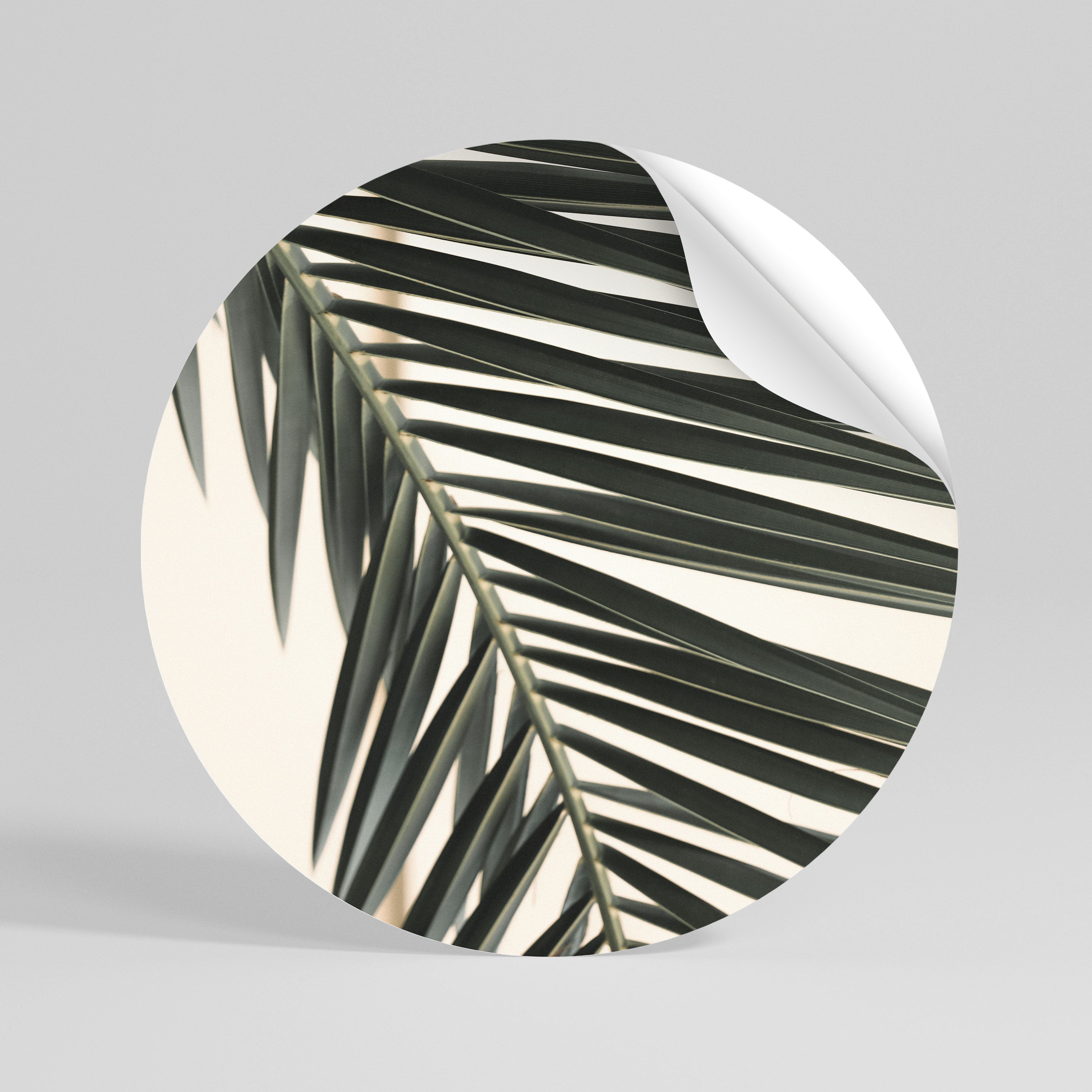 PALM SYMPHONY Kulatá samolepka