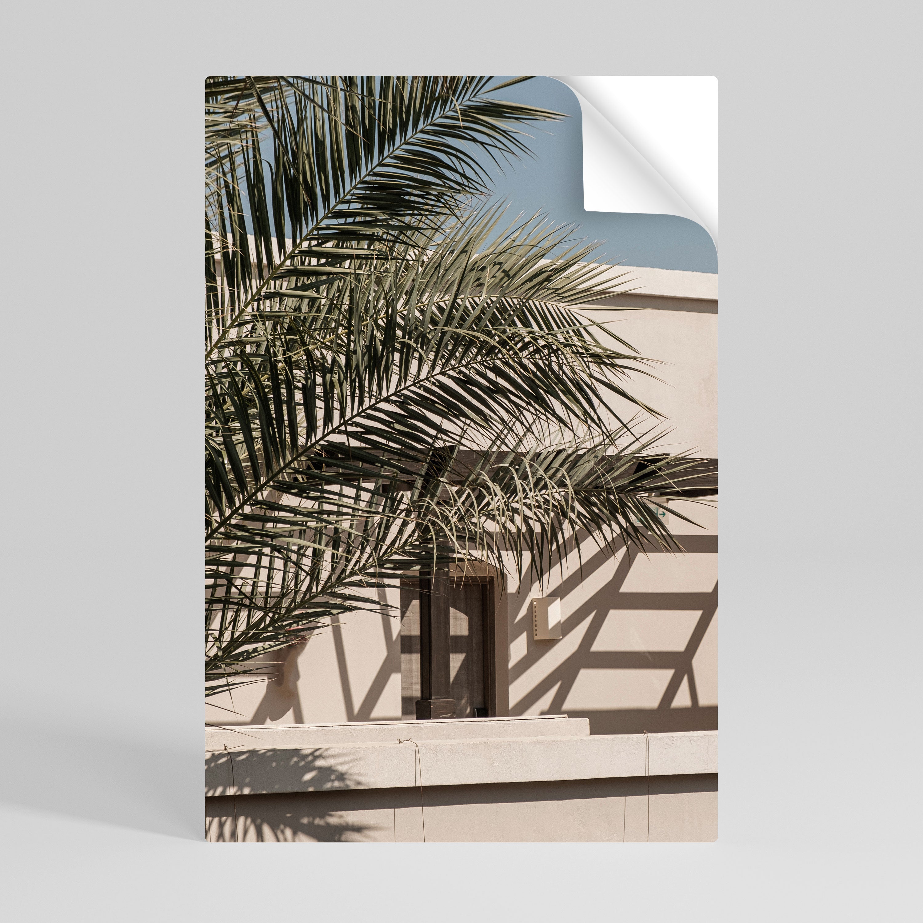 PALM SHADOW DANCE Peel and Stick Vertical Poster