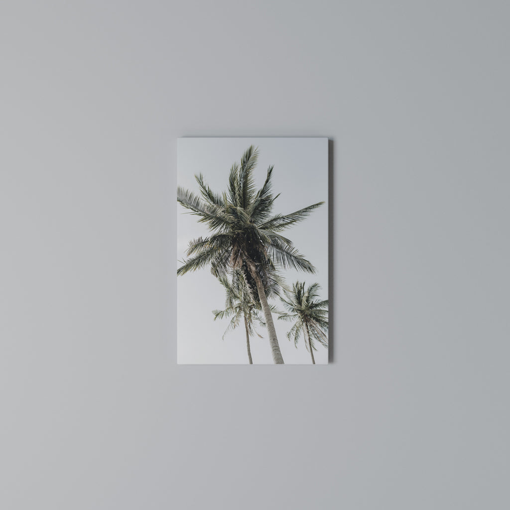 PALM PARADISE SIGHT Vertical Canvas Print